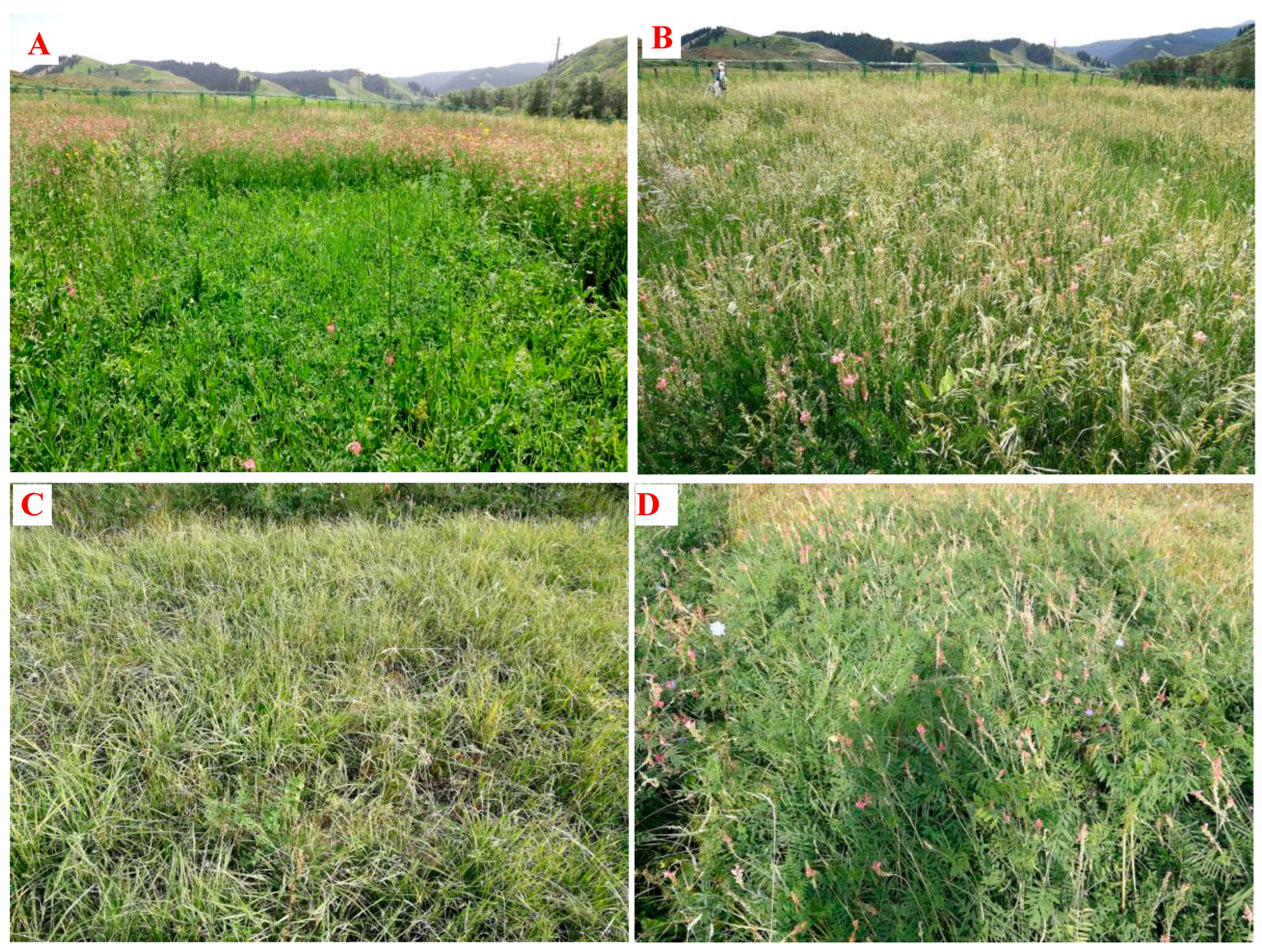 Agronomy 15 00632 g002