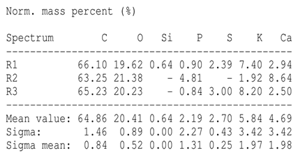 Agronomy 15 00660 i003