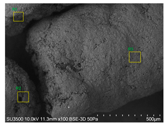 Agronomy 15 00660 i004