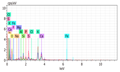 Agronomy 15 00660 i008