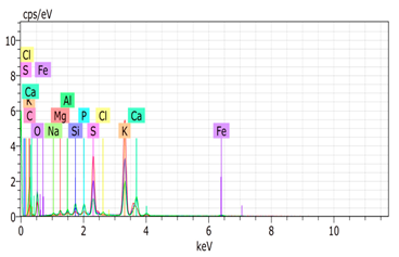 Agronomy 15 00660 i011