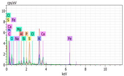Agronomy 15 00660 i014