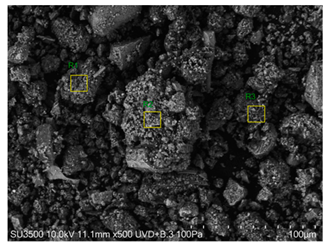 Agronomy 15 00660 i019