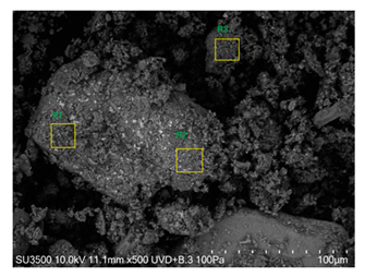 Agronomy 15 00660 i022