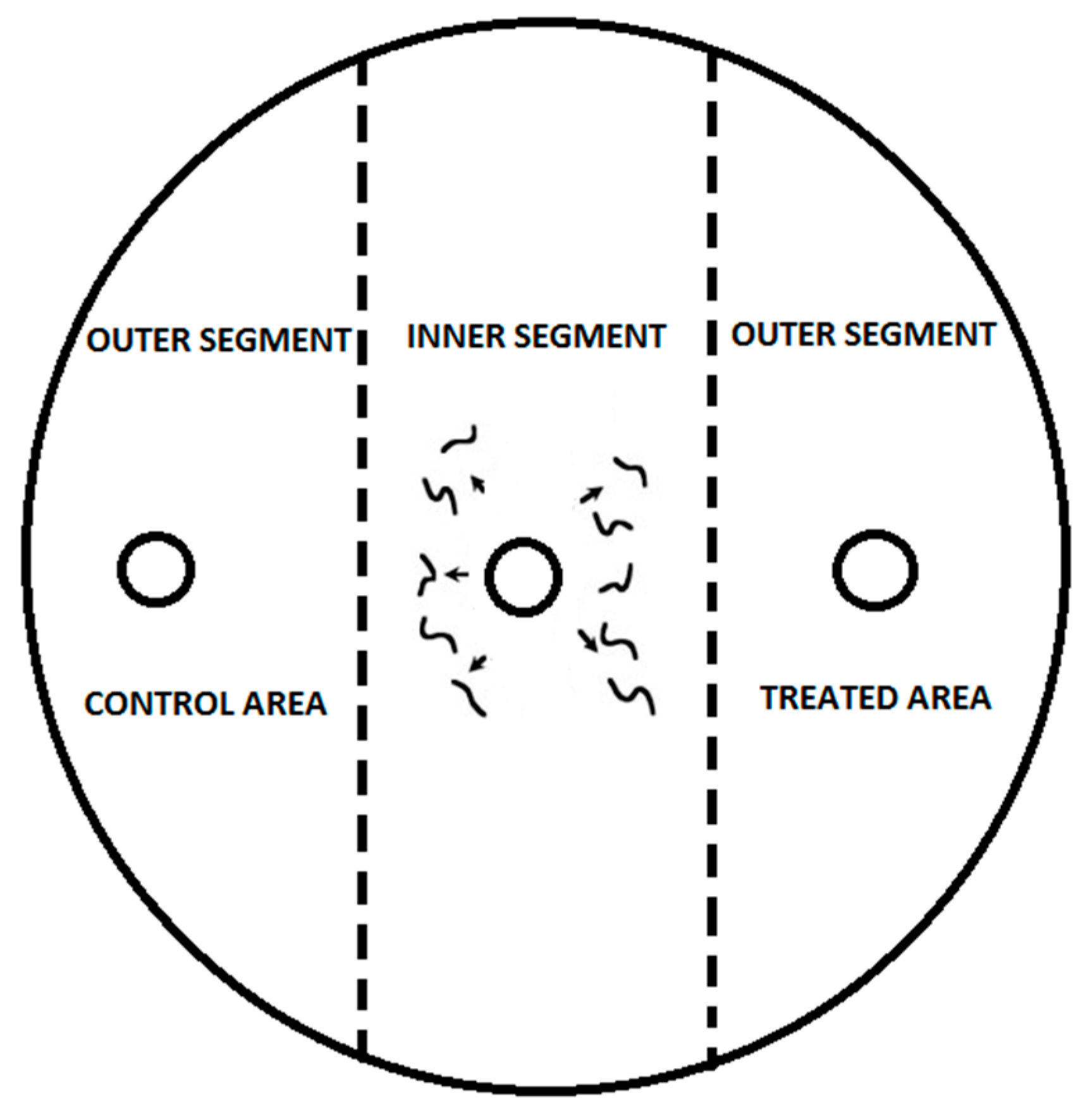 Agronomy 15 00664 g001