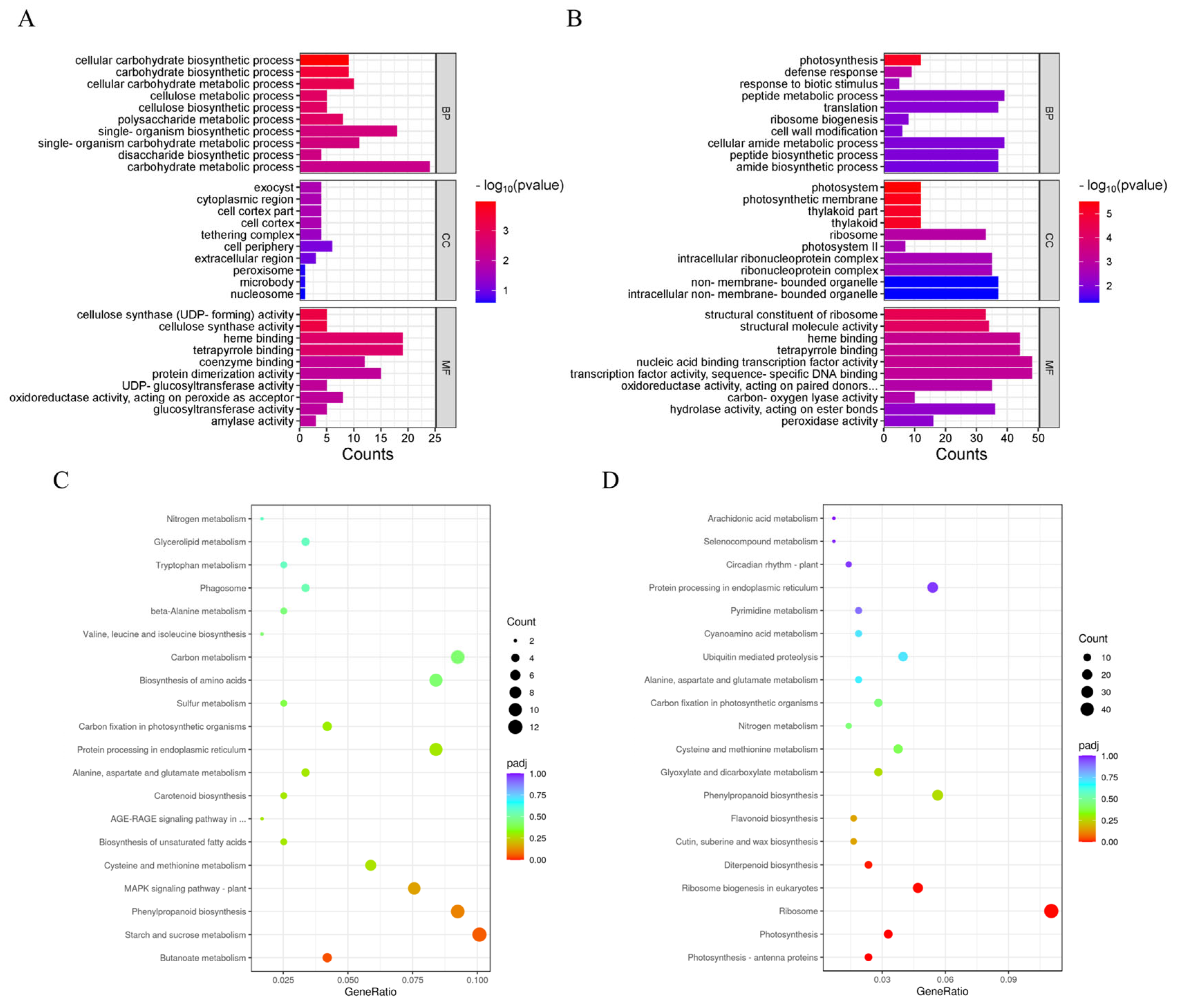Agronomy 15 00668 g005