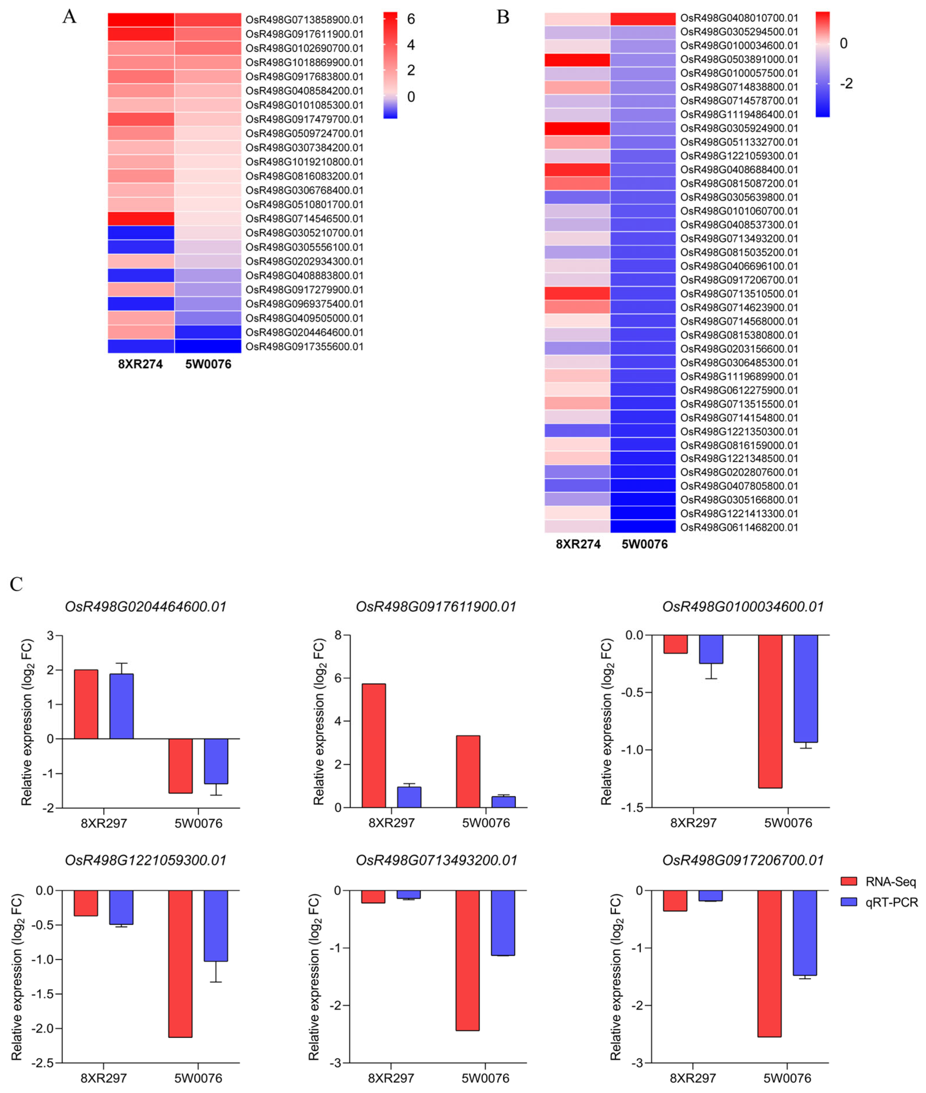 Agronomy 15 00668 g006
