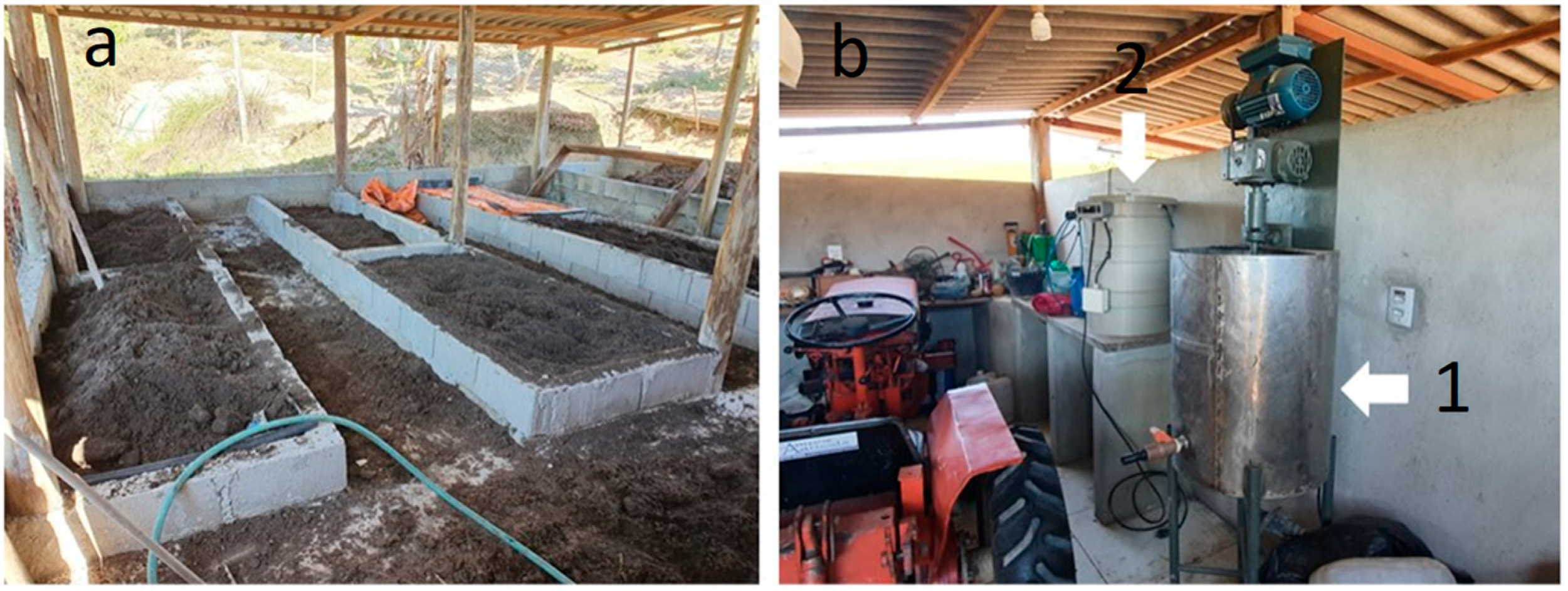 Agronomy 15 00681 g001