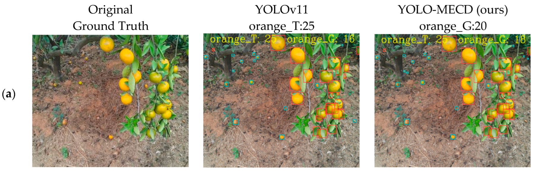 Agronomy 15 00687 g011a