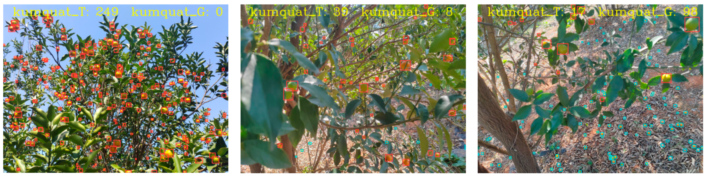 Agronomy 15 00687 g012a