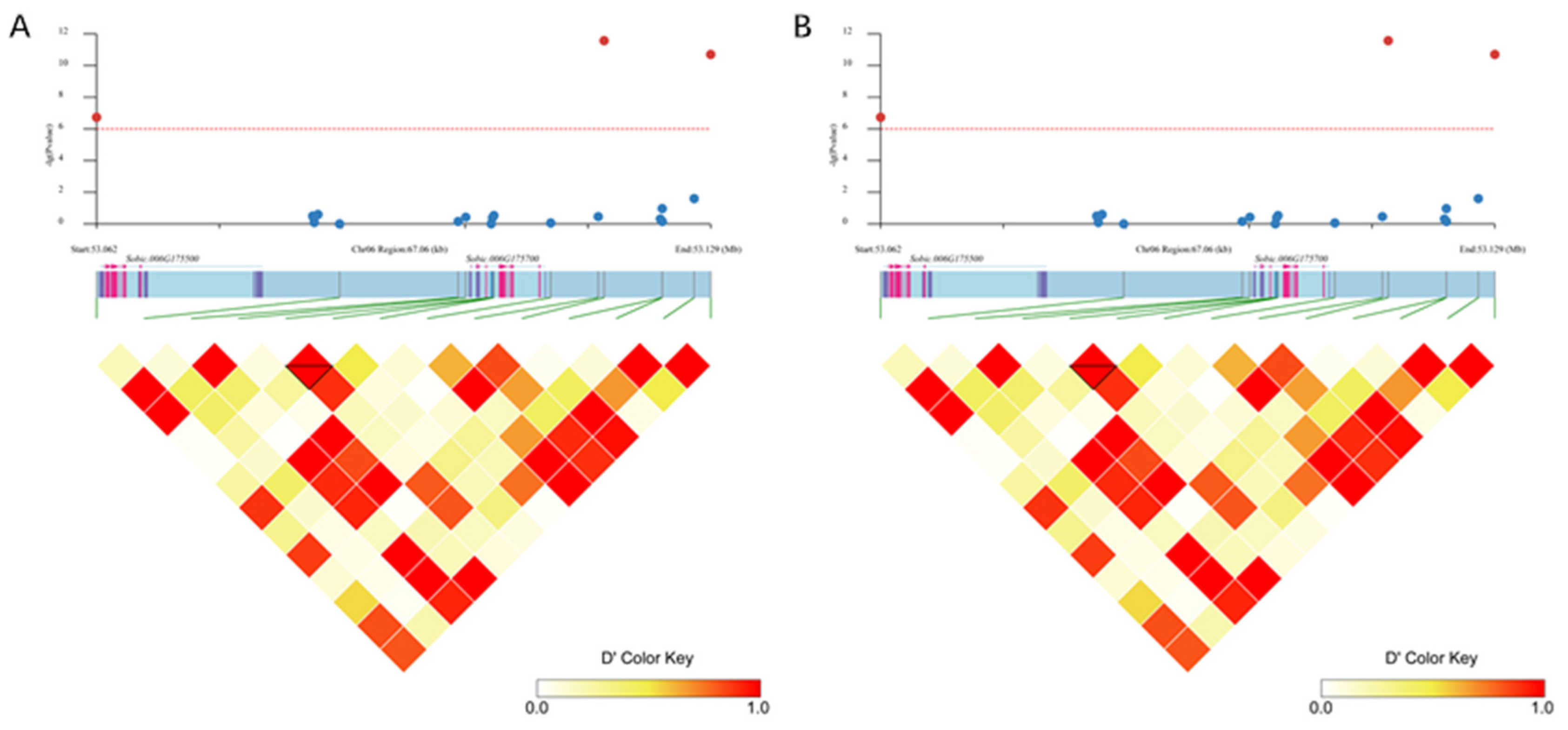 Agronomy 15 00688 g005