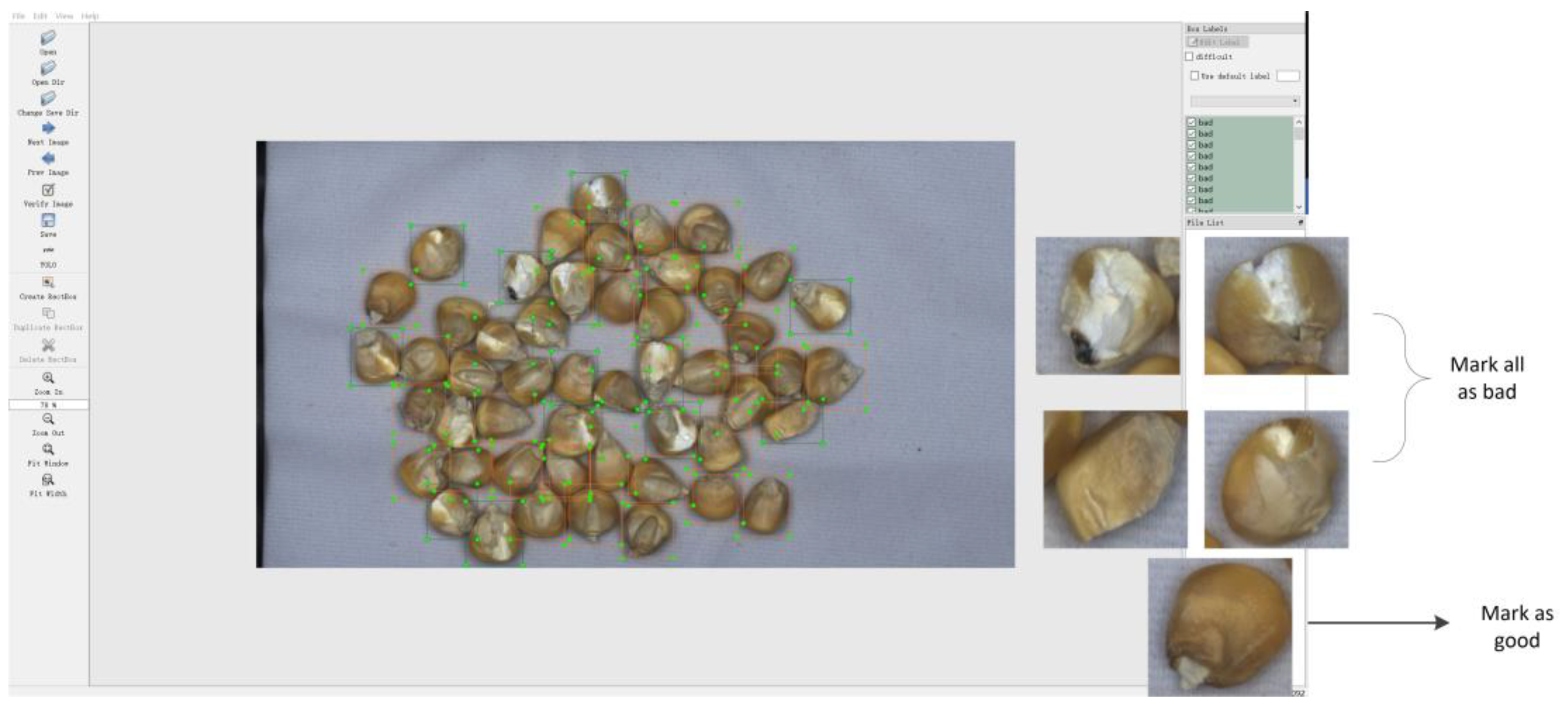 Agronomy 15 00710 g002 Agronomy 15 00710 g002