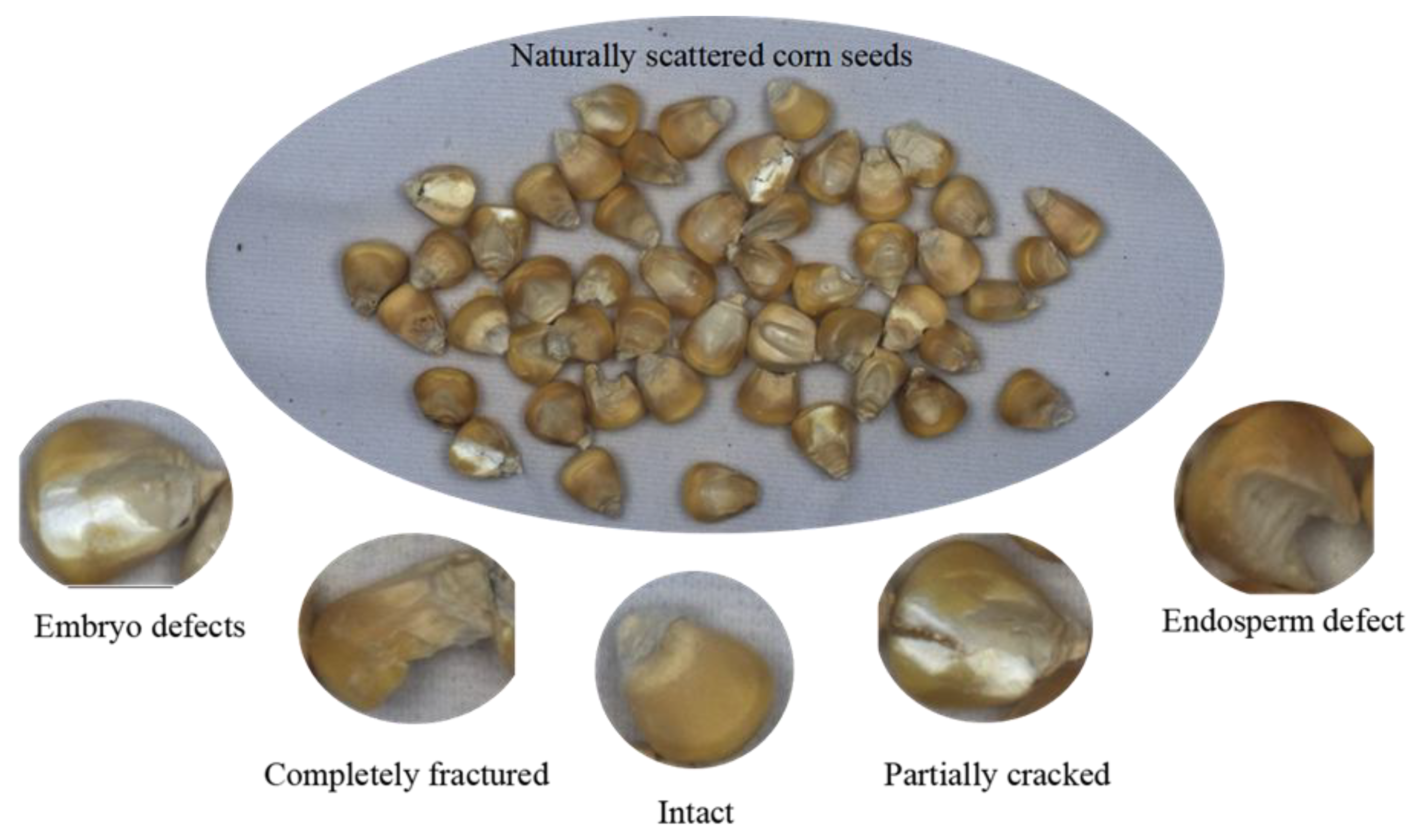 Agronomy 15 00710 g003 Agronomy 15 00710 g003