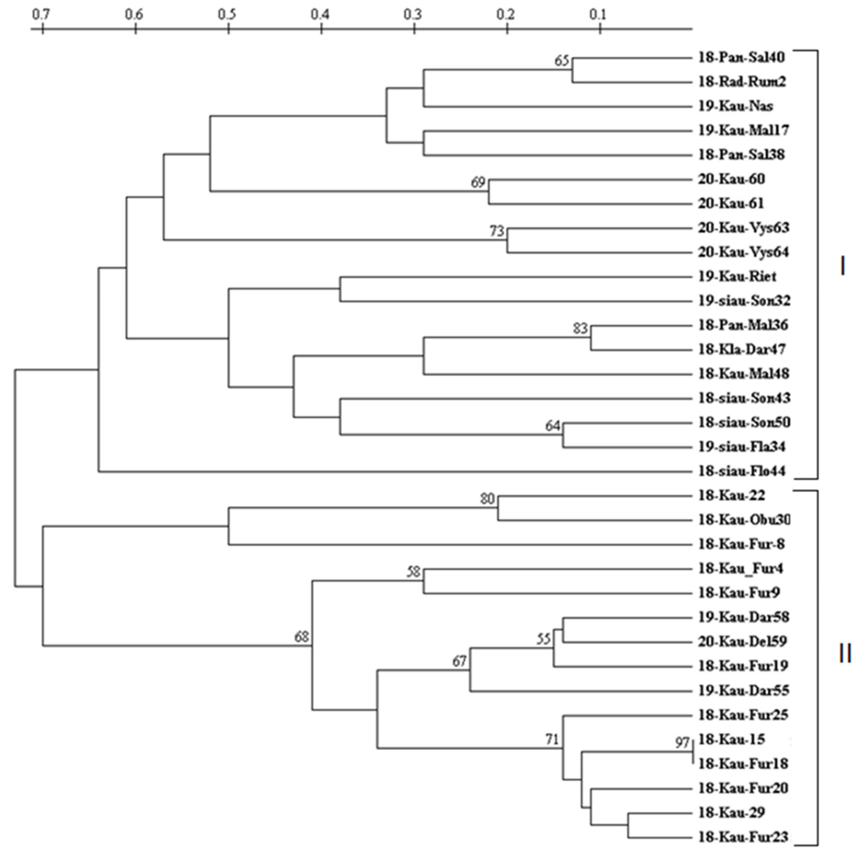Agronomy 15 00720 g004