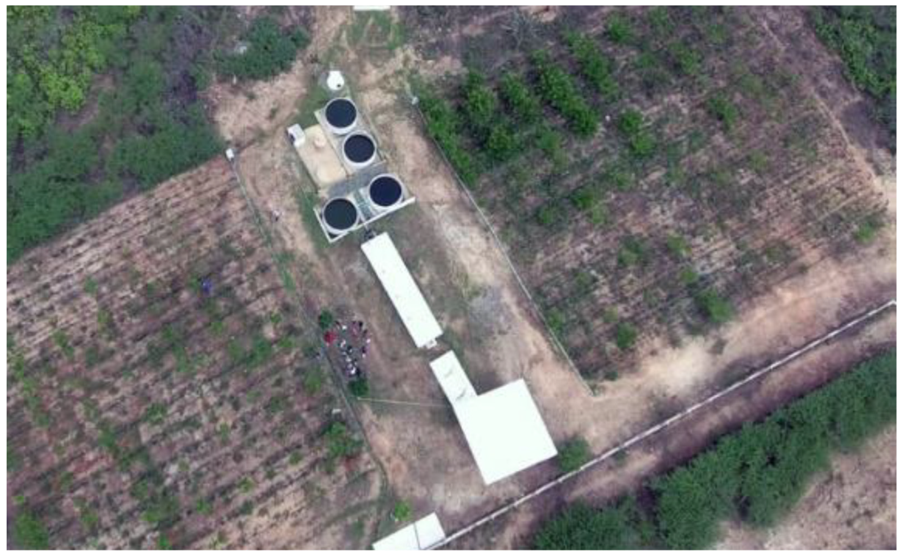 Agronomy 15 00721 g002