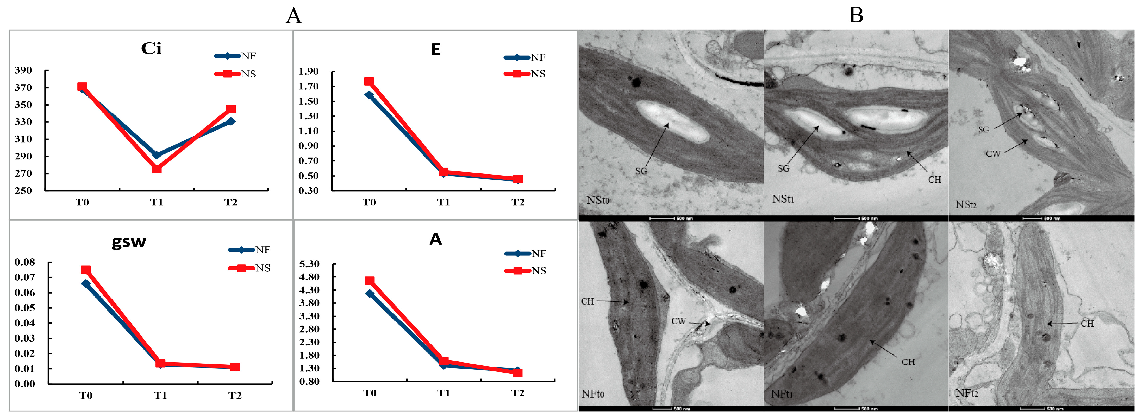 Agronomy 15 00739 g003