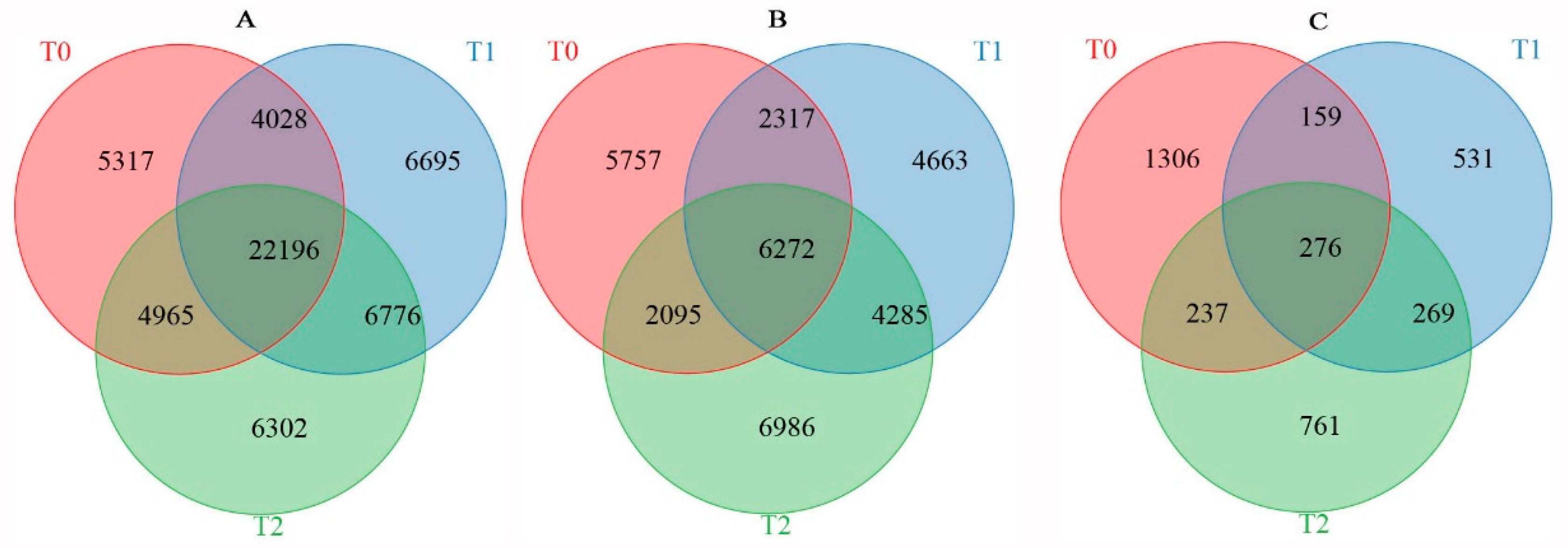 Agronomy 15 00739 g005