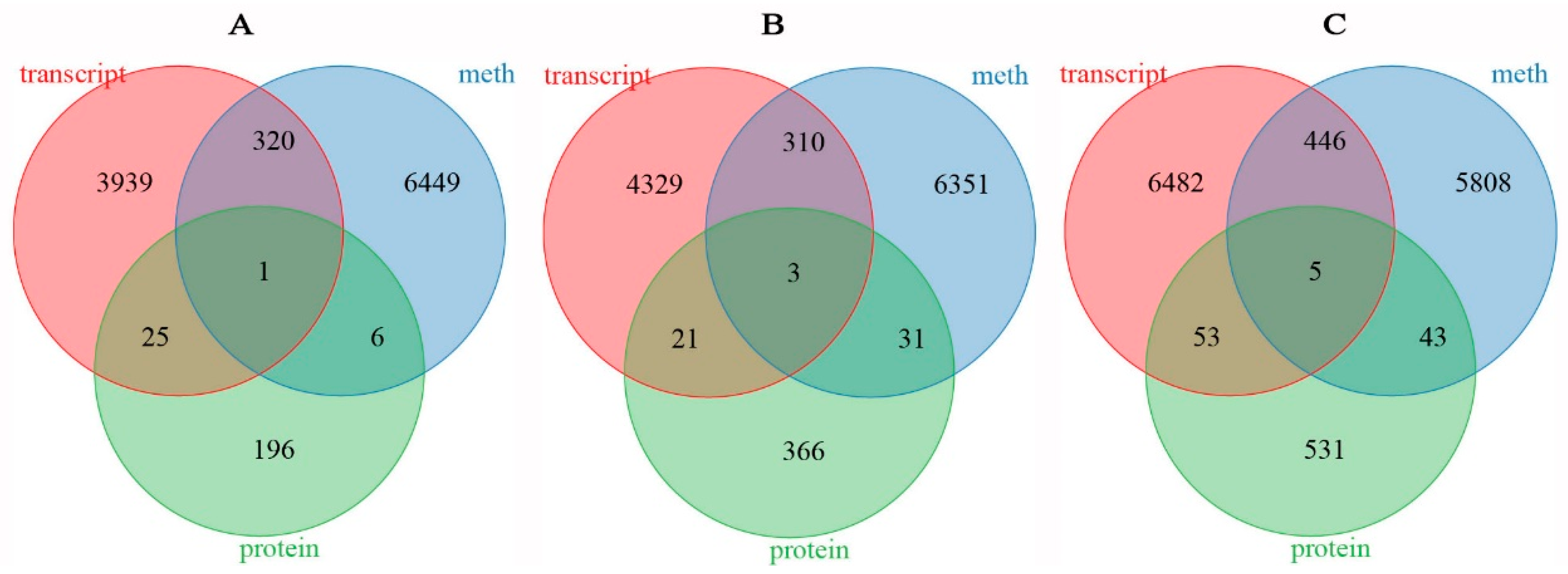 Agronomy 15 00739 g008