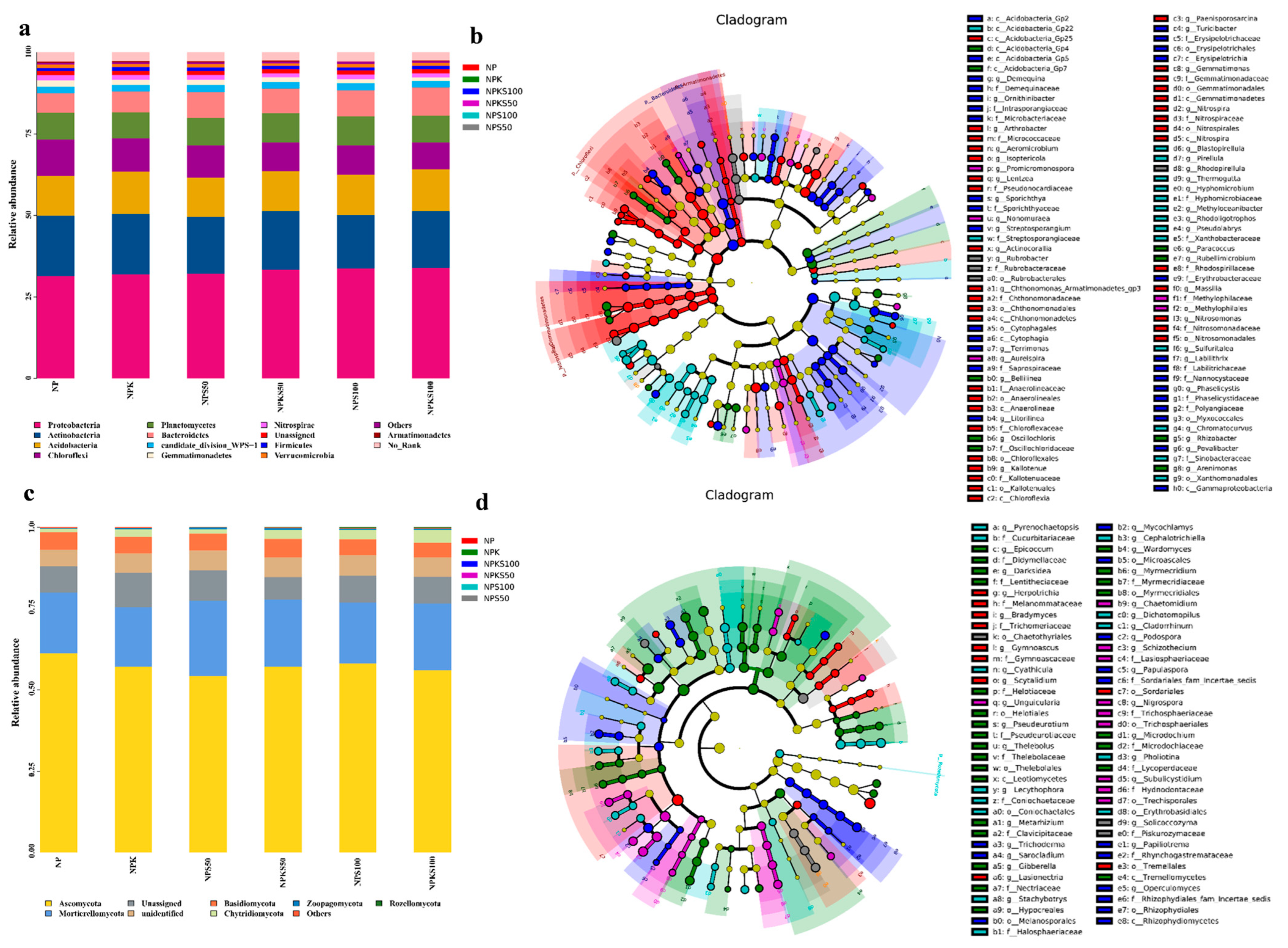 Agronomy 15 00742 g005