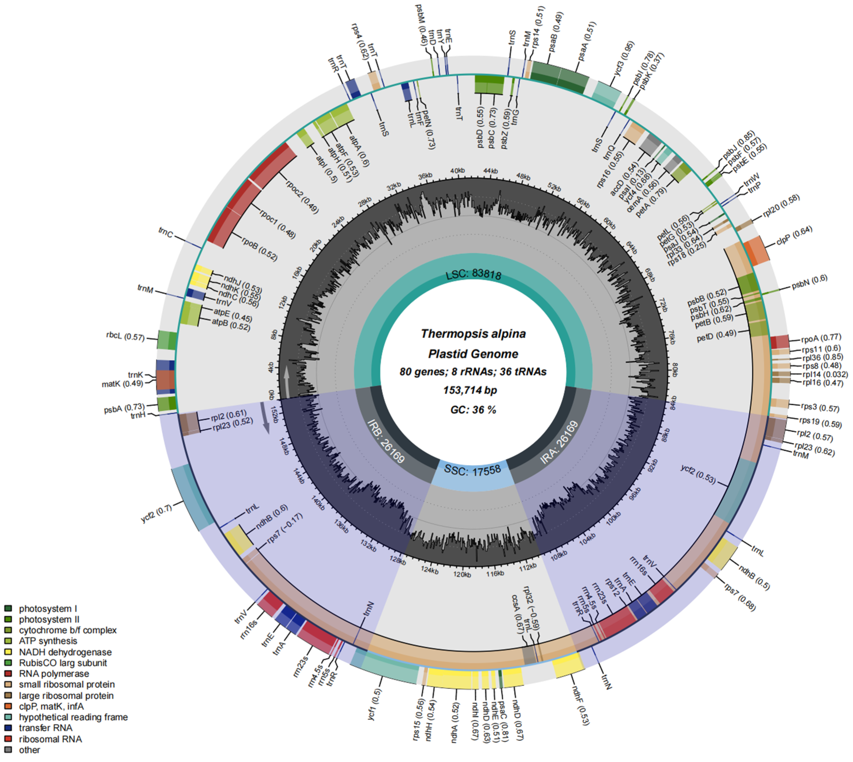 Agronomy 15 00765 g001