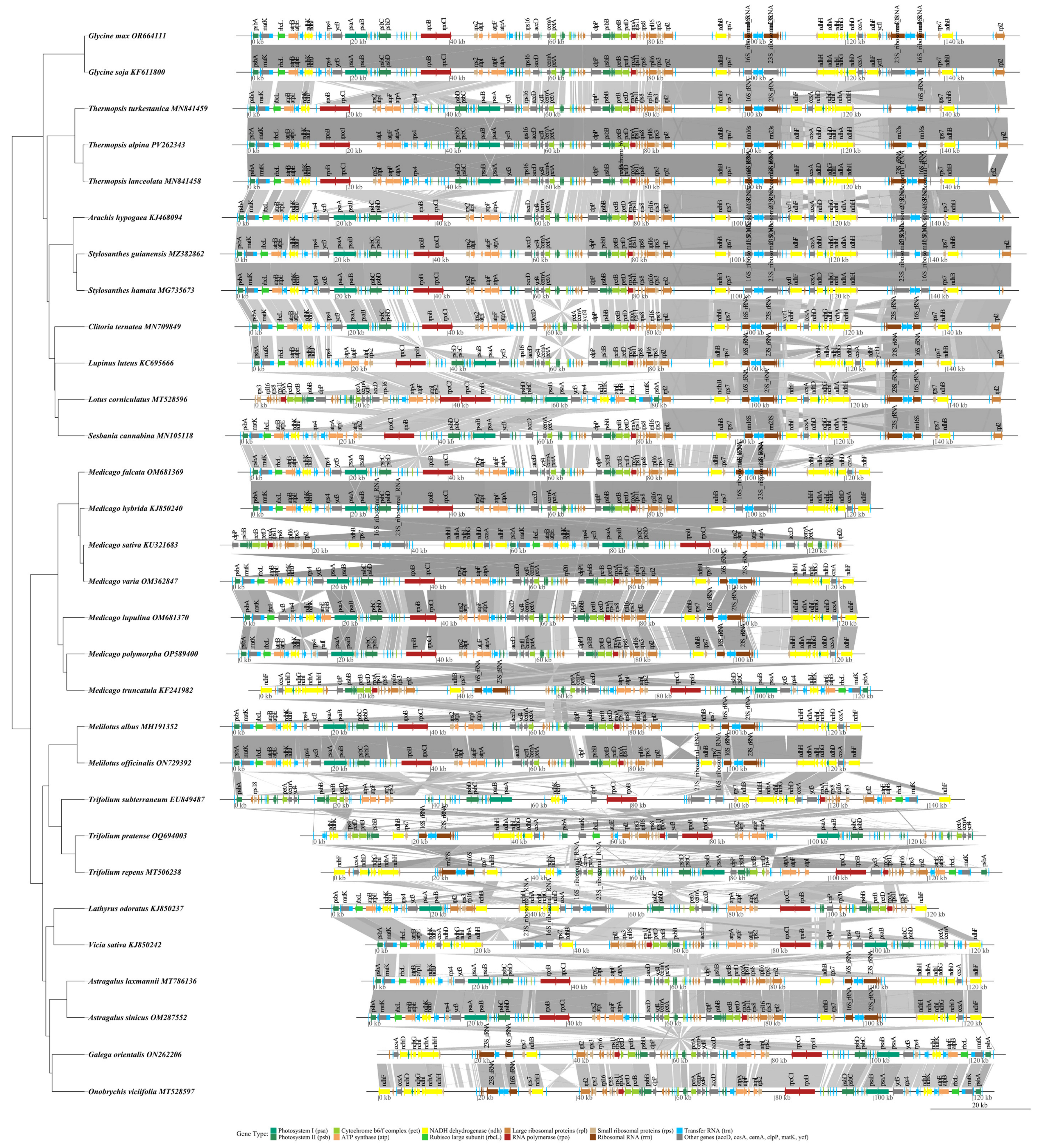 Agronomy 15 00765 g008
