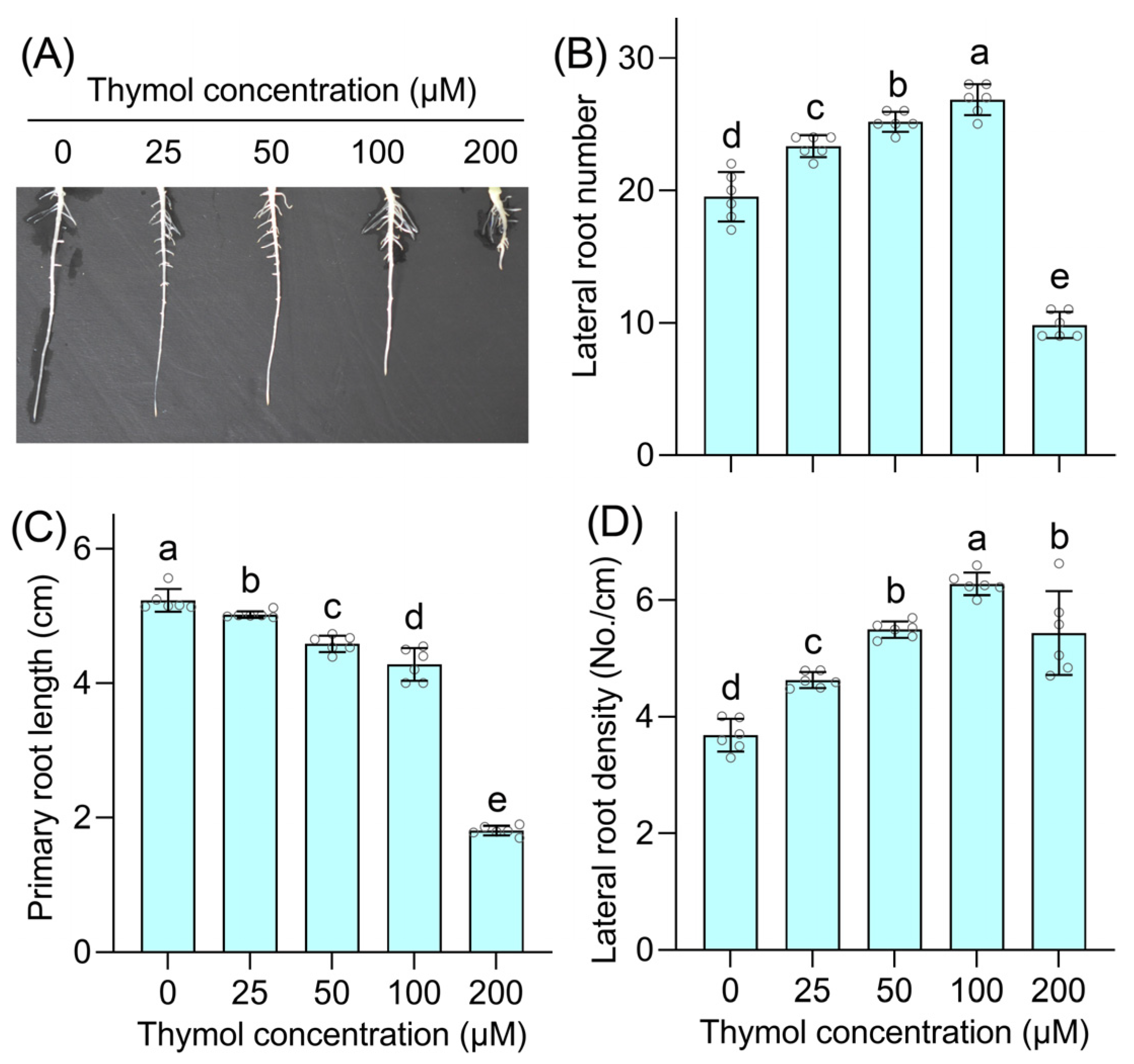 Agronomy 15 00784 g001