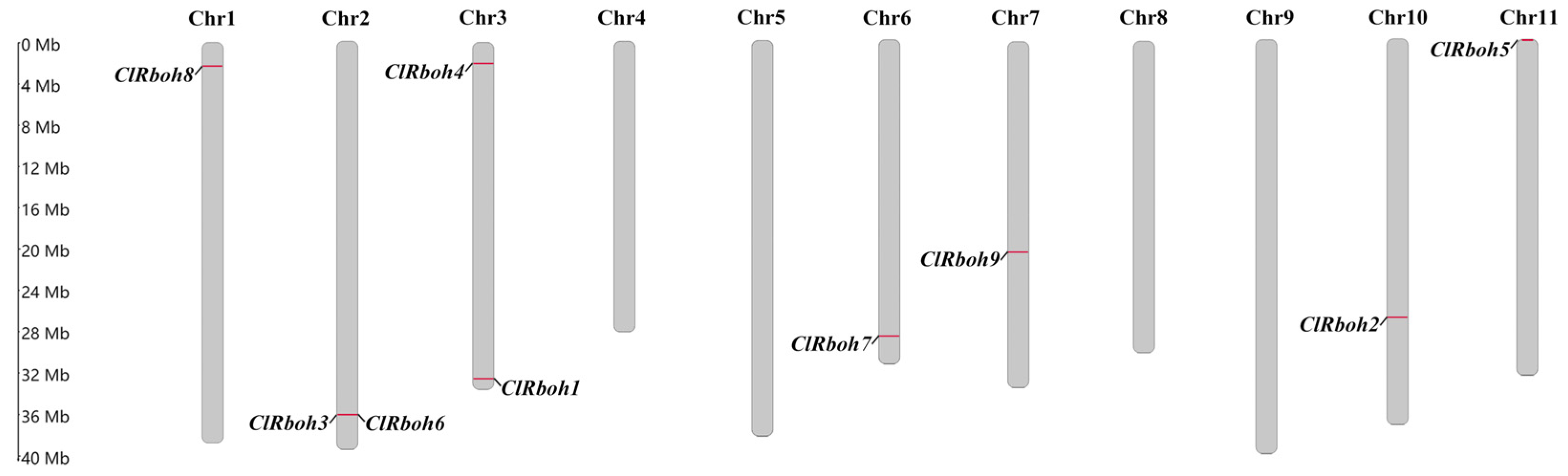 Agronomy 15 00784 g005