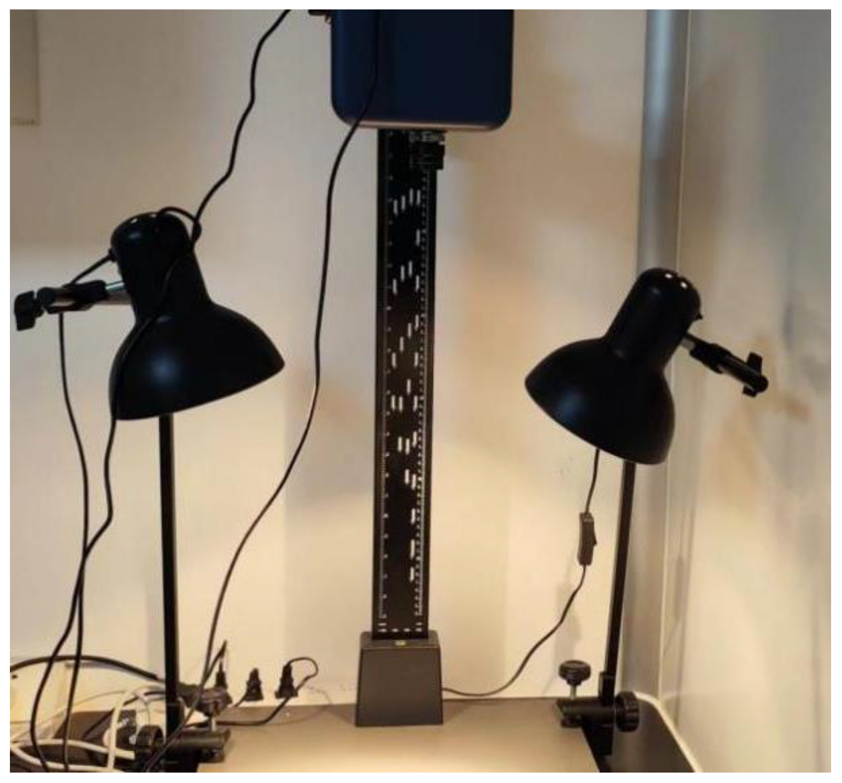 Agronomy 15 00794 g002