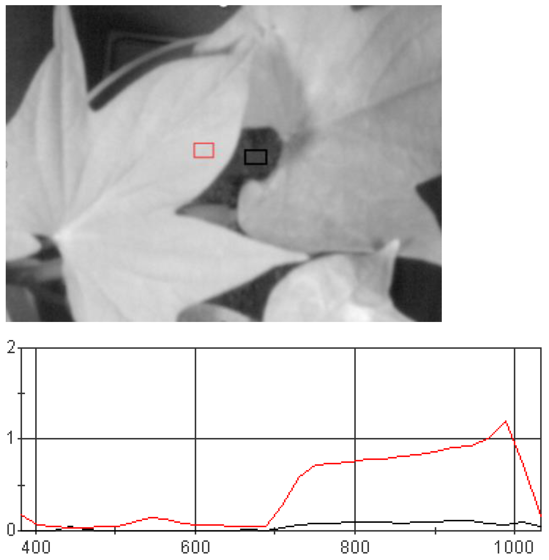 Agronomy 15 00794 g003