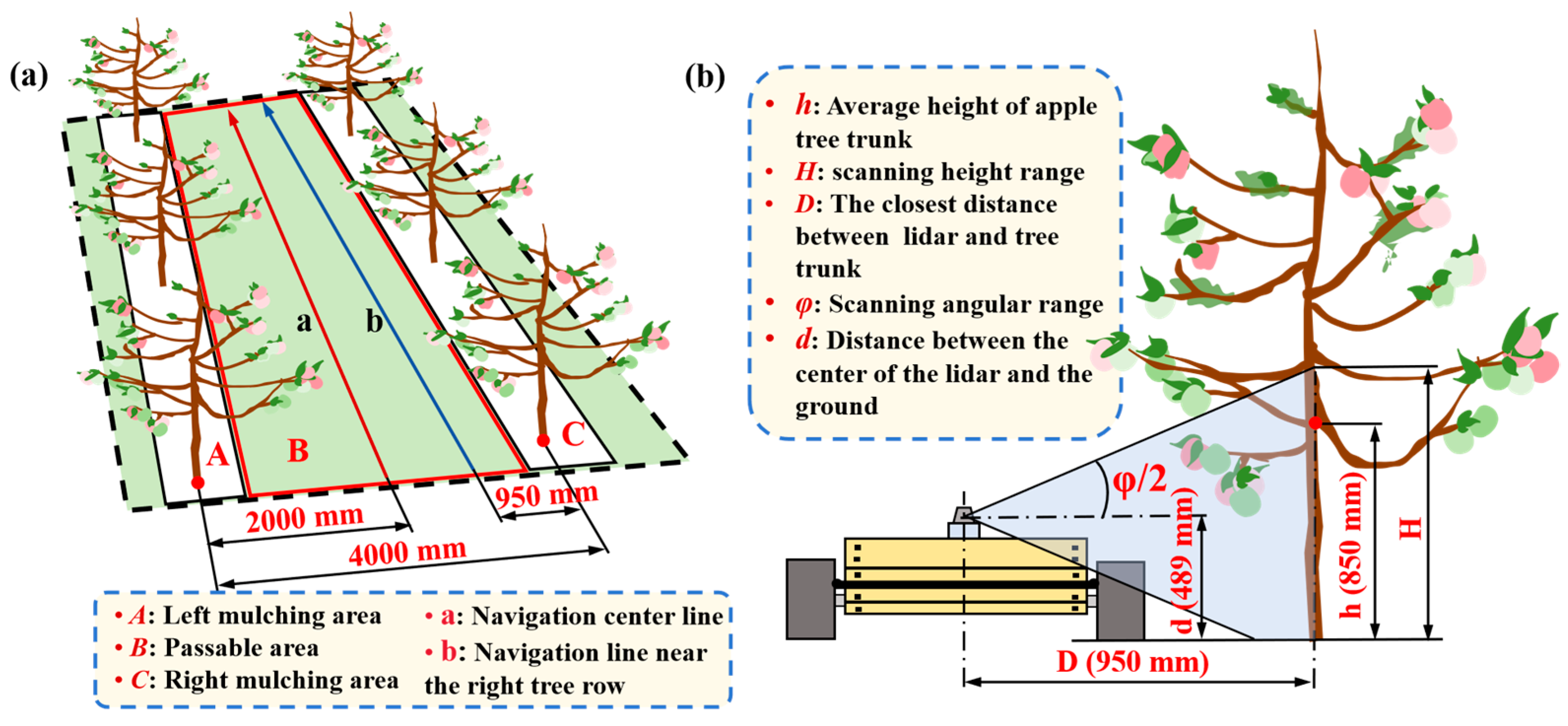 Agronomy 15 00816 g003