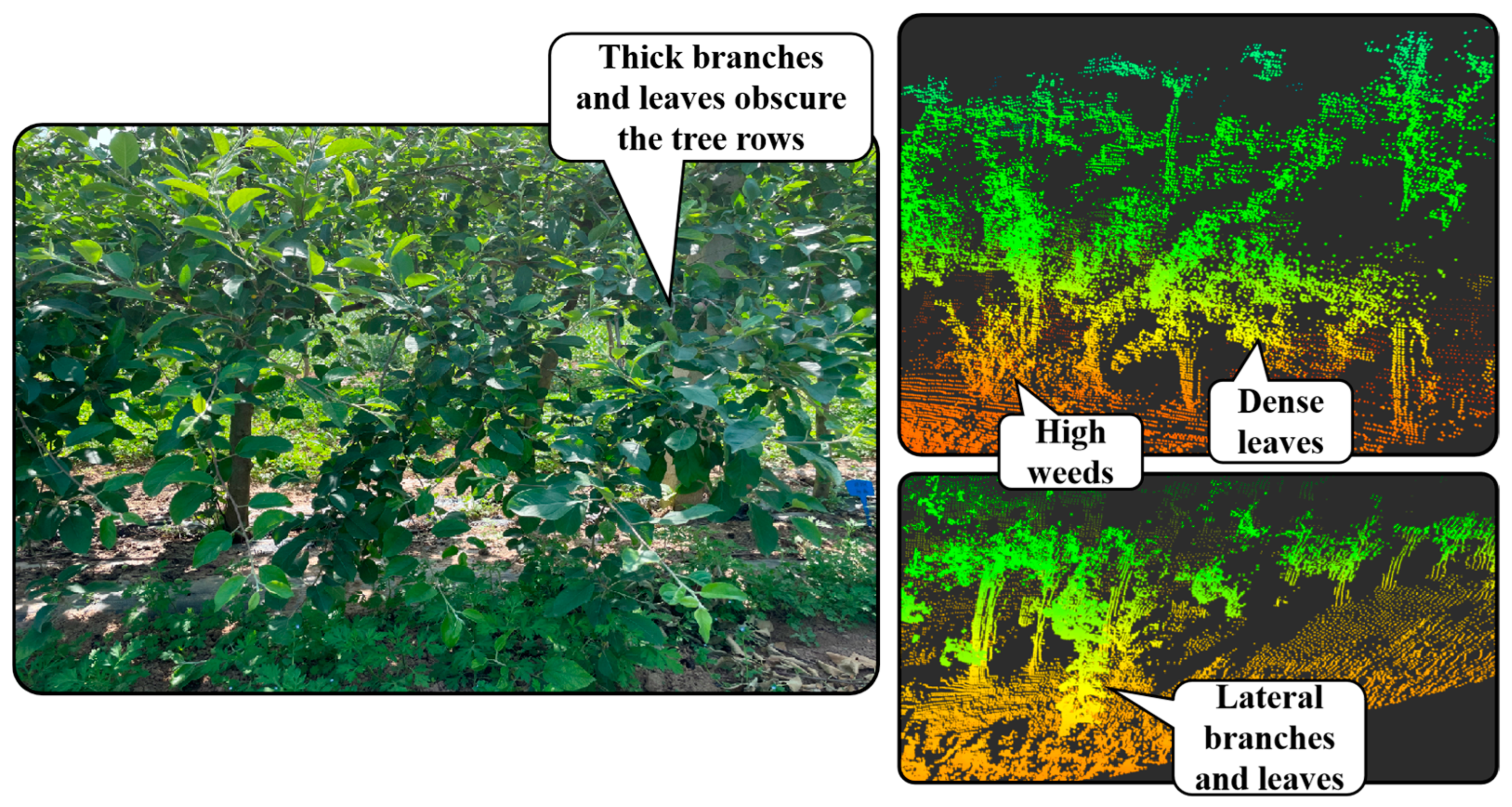 Agronomy 15 00816 g023