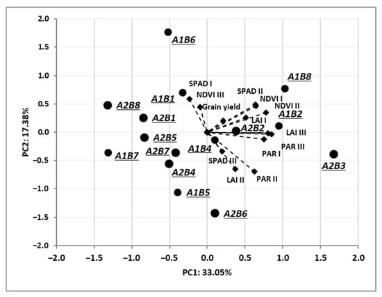 Agronomy 15 00837 g002