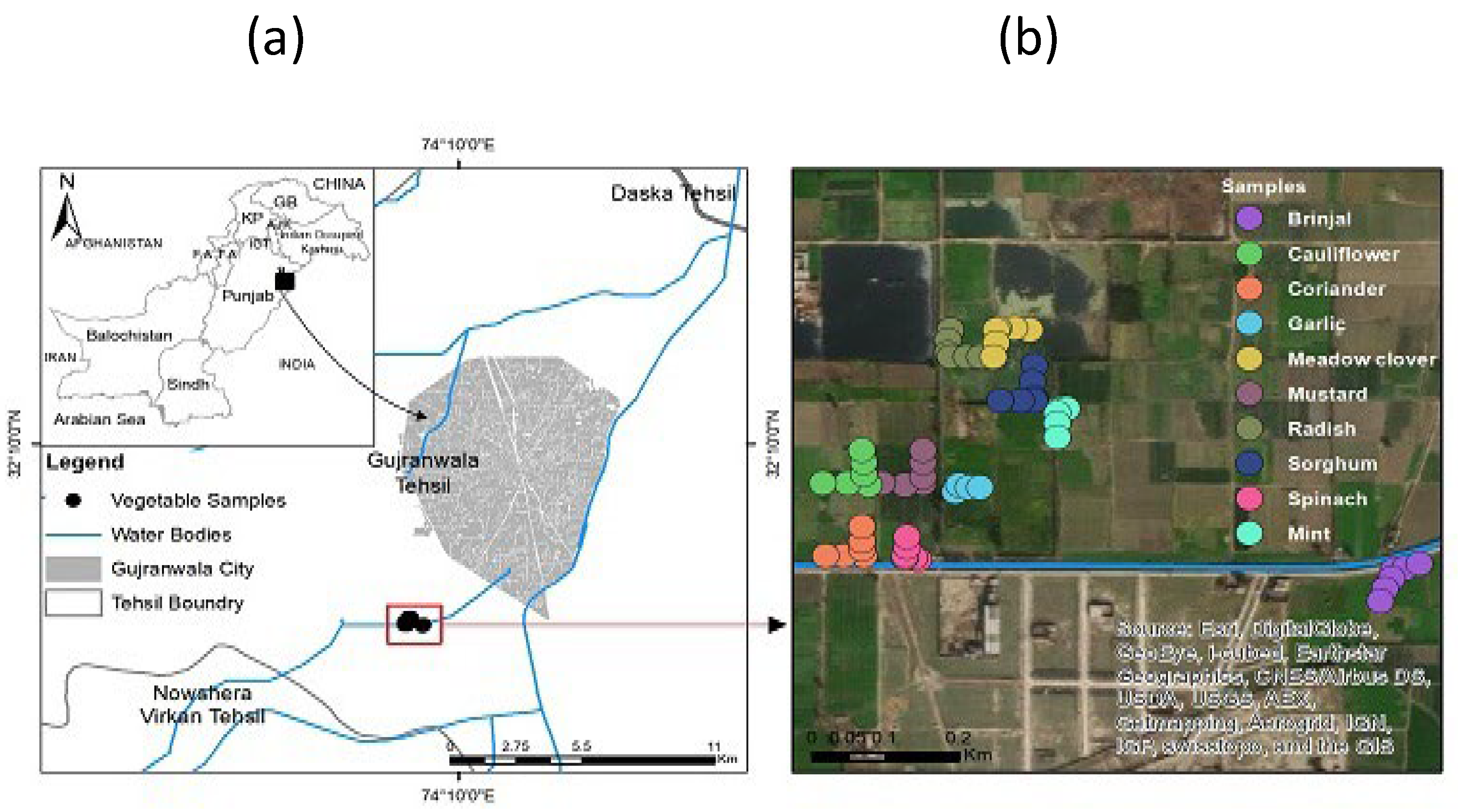 Agronomy 15 00841 g001