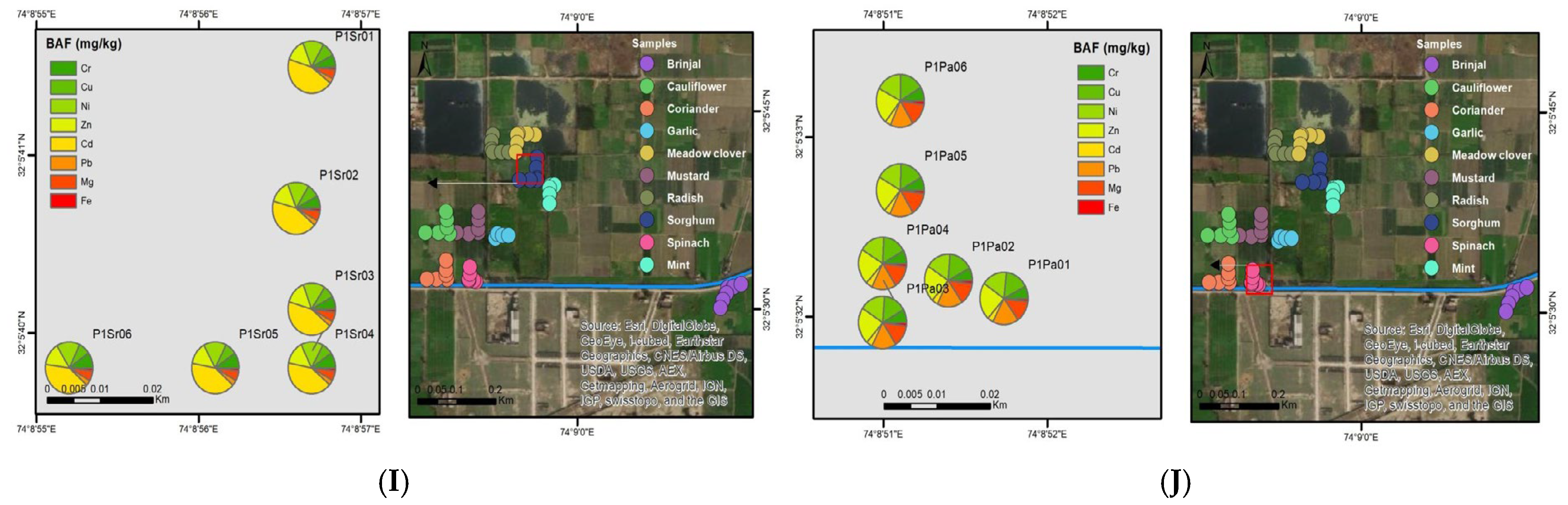 Agronomy 15 00841 g002b
