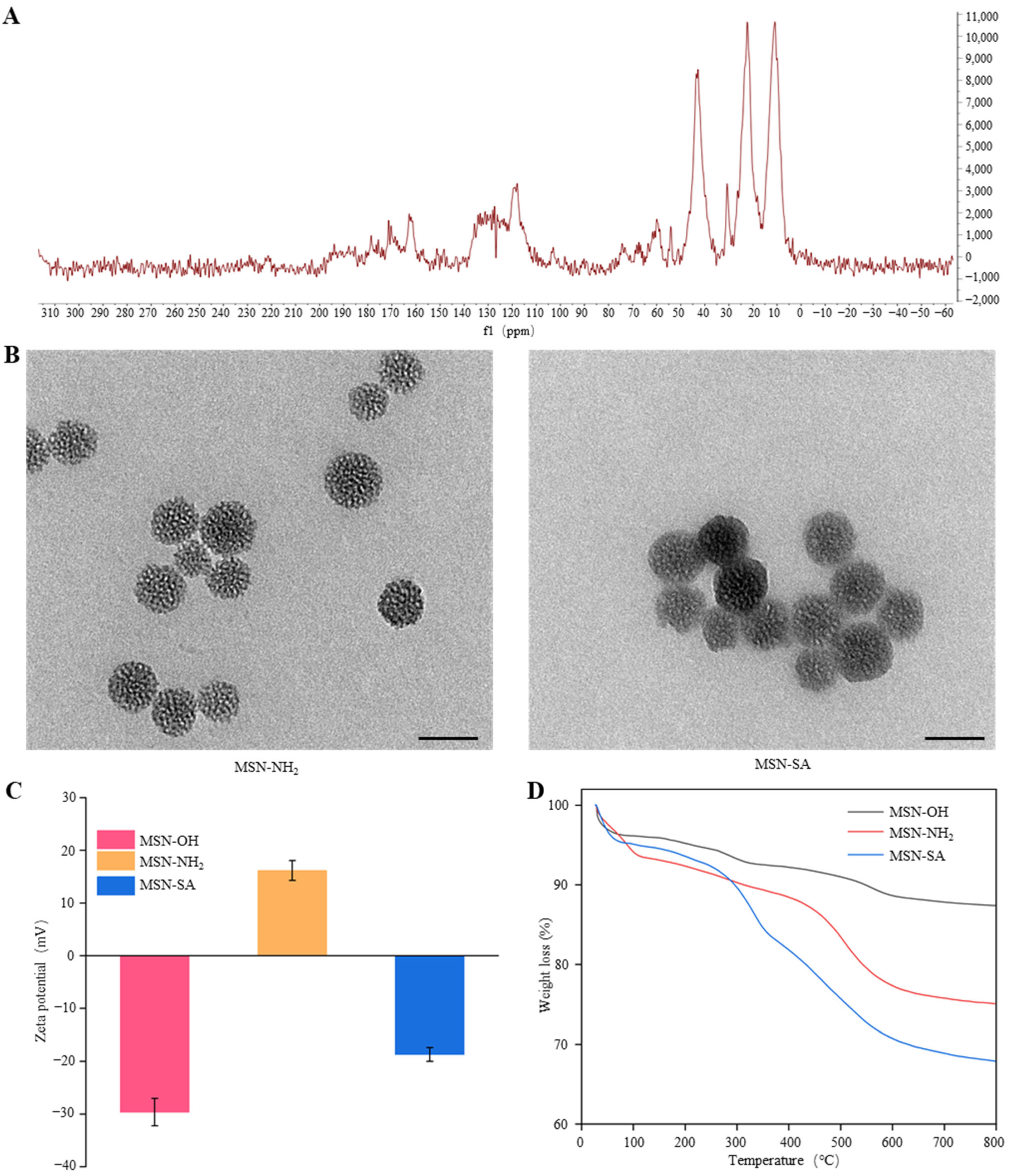 Agronomy 15 00874 g002