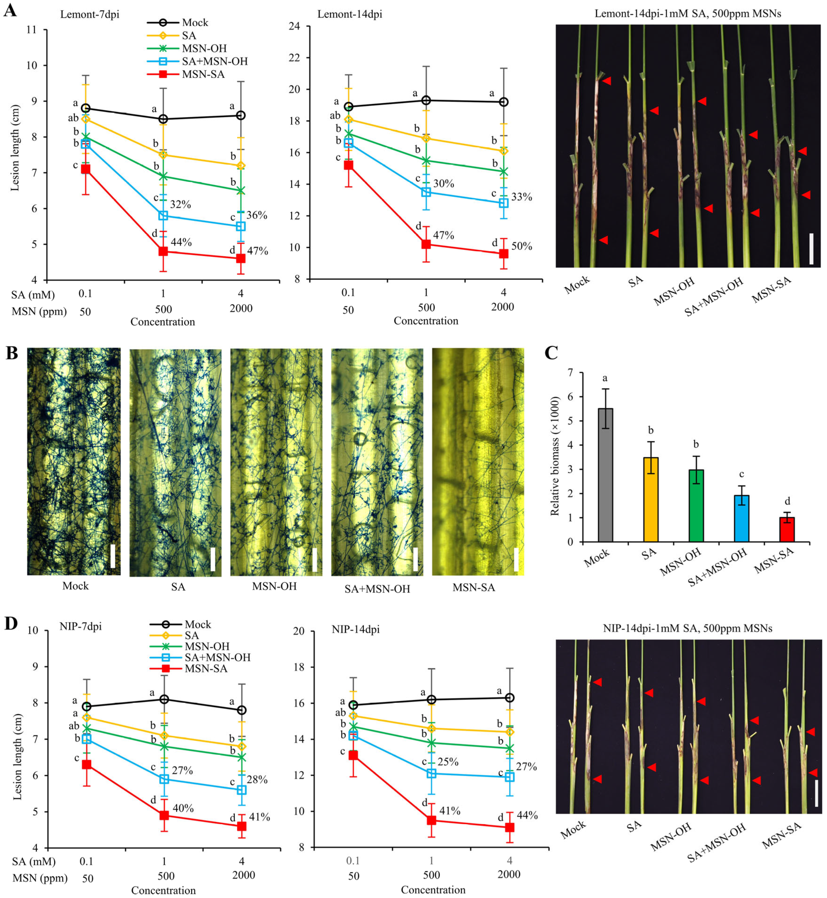 Agronomy 15 00874 g003
