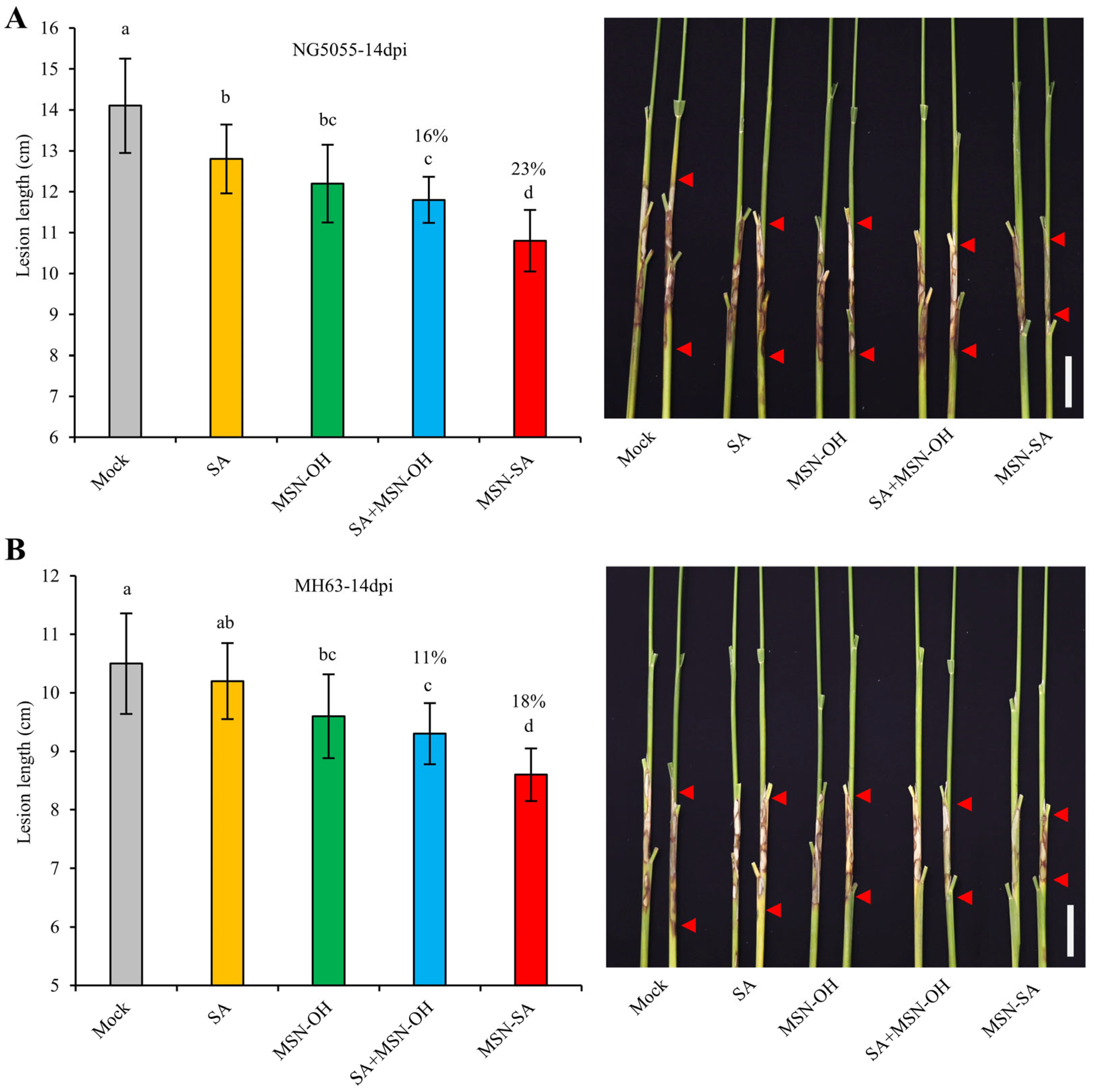Agronomy 15 00874 g004