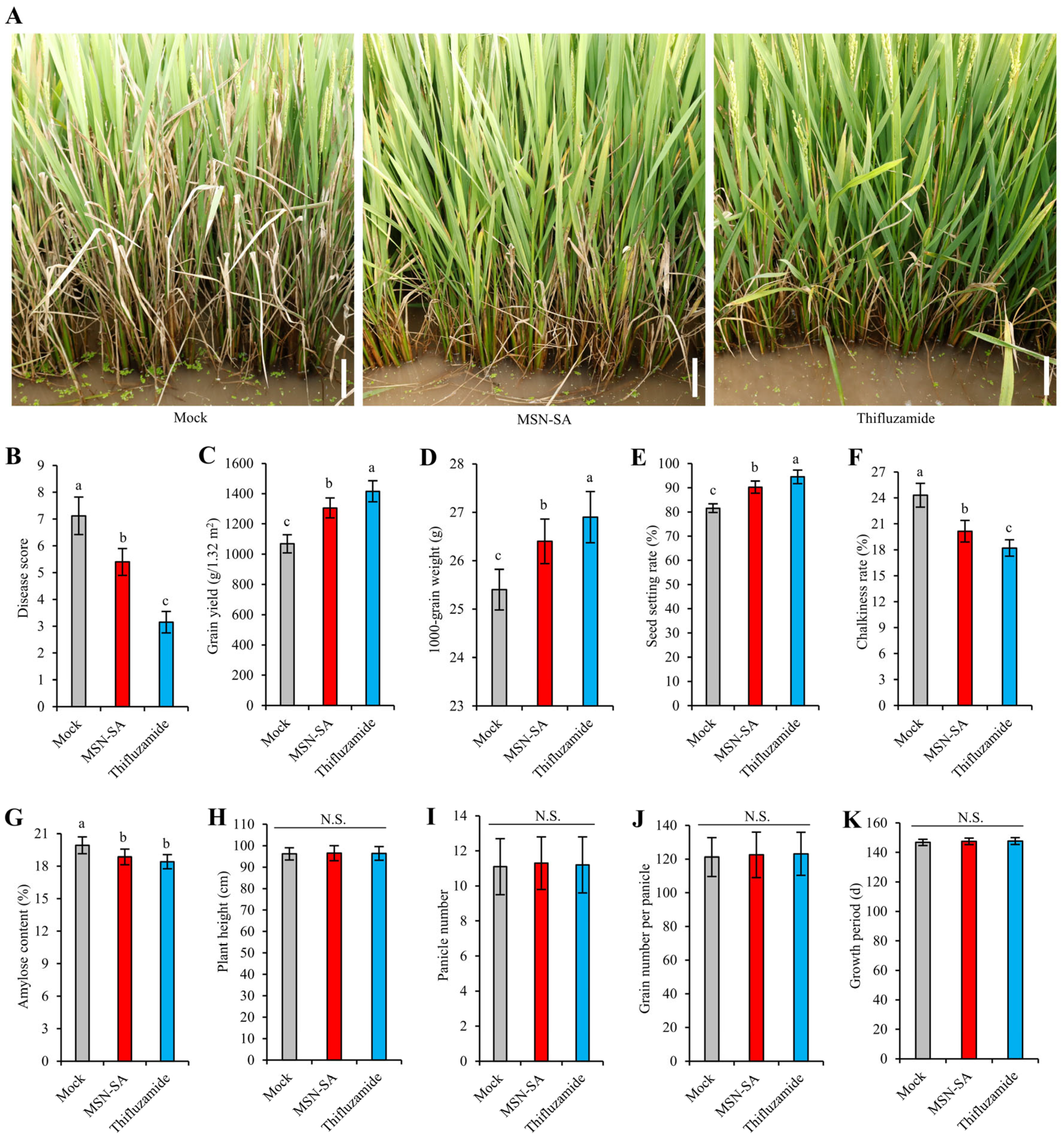Agronomy 15 00874 g005