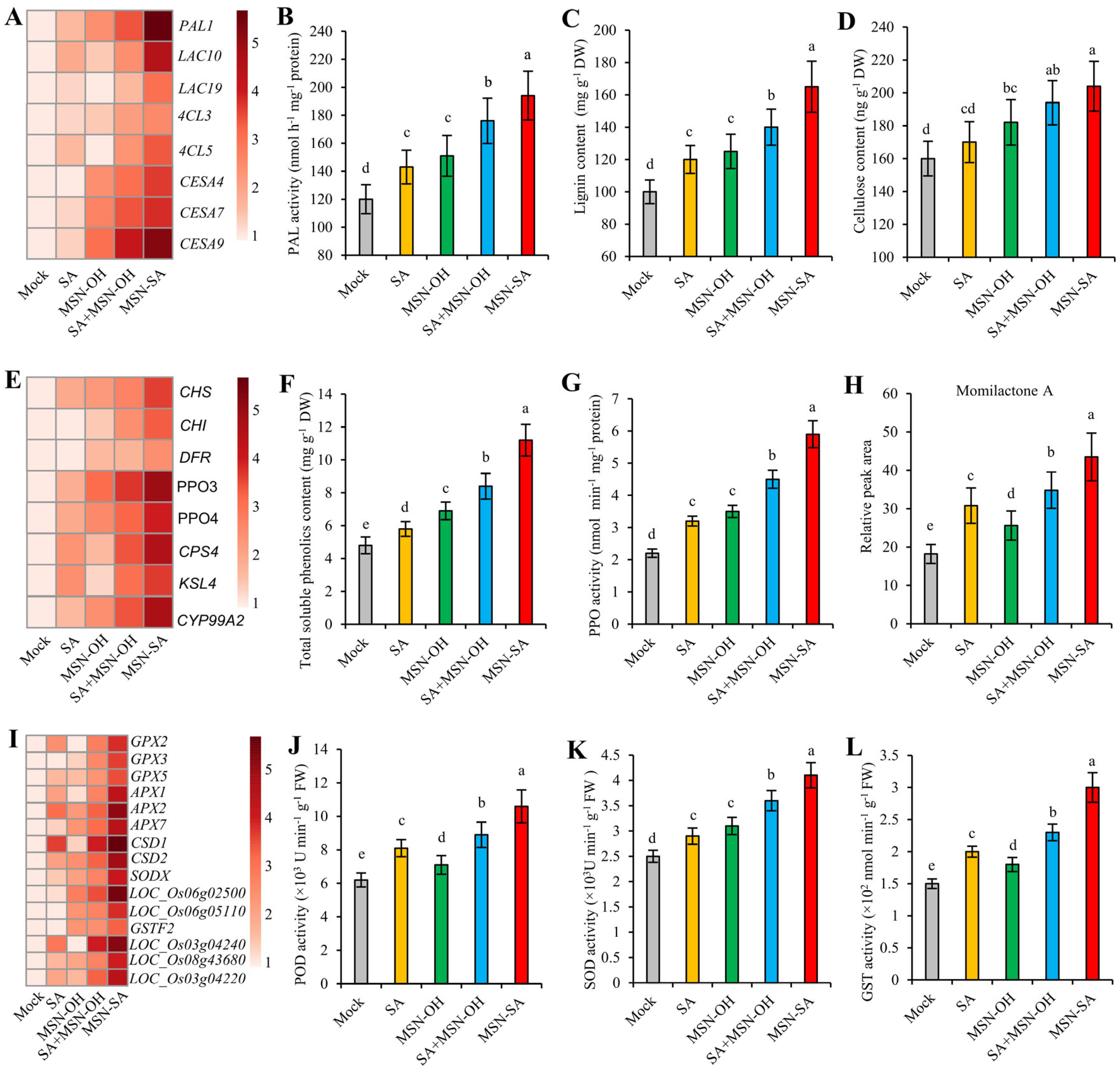 Agronomy 15 00874 g007