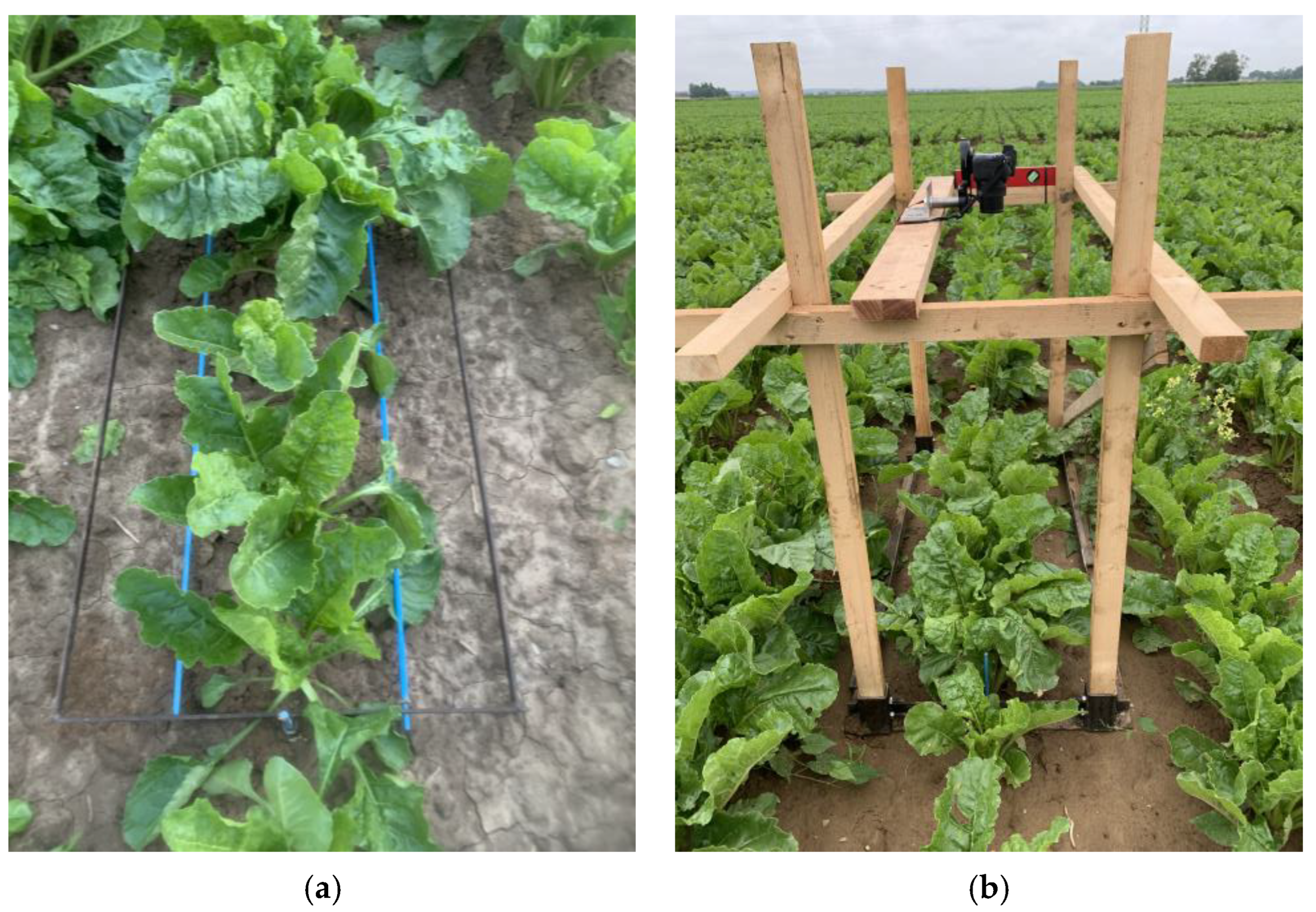 Combined Mechanical–Chemical Weed Control Methods in Post-Emergence ...
