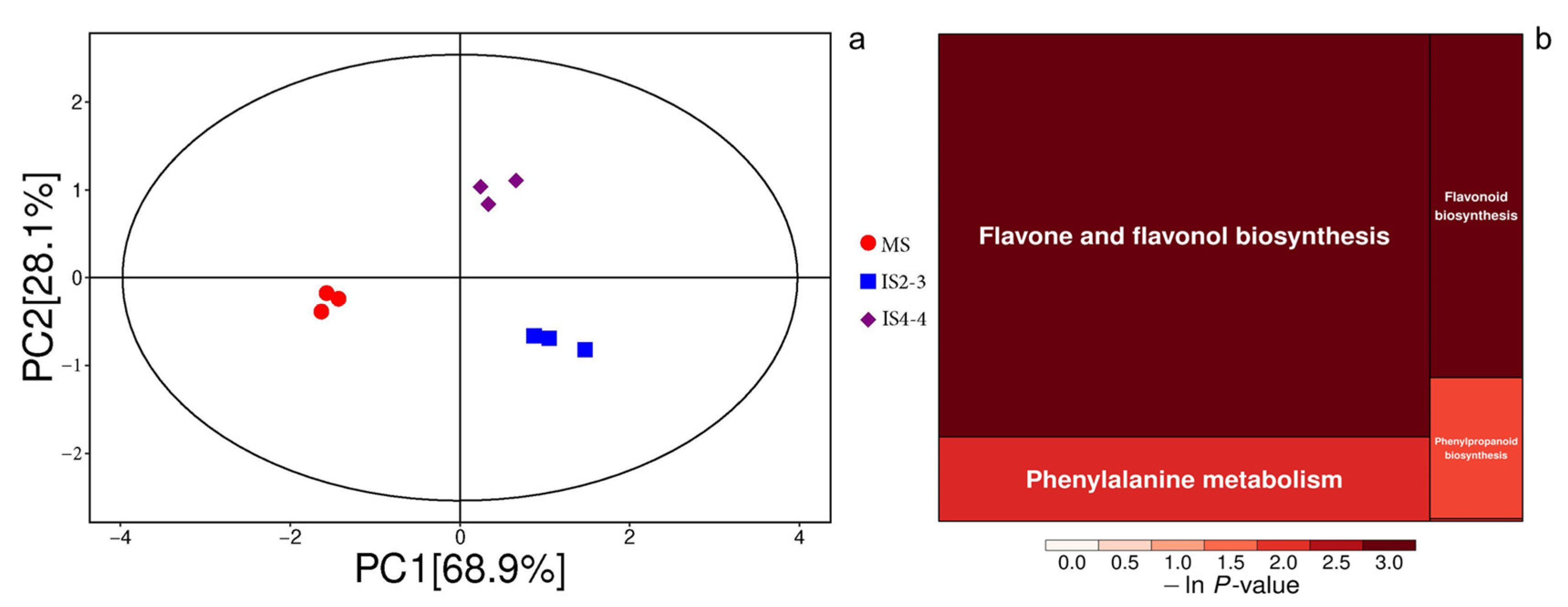 Agronomy 15 00880 g006a