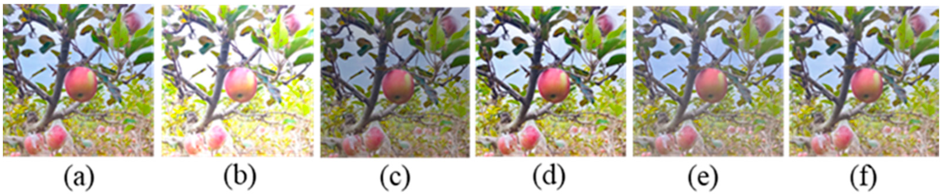 Agronomy 15 00900 g002