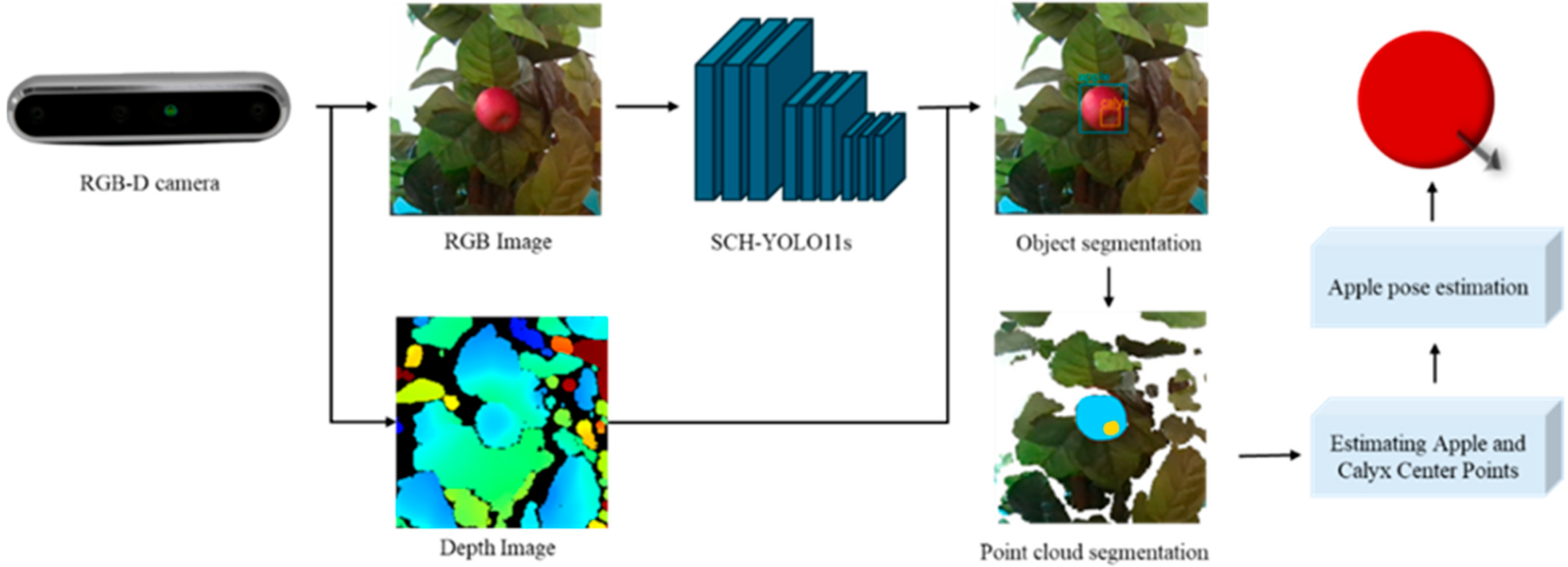 Agronomy 15 00900 g007