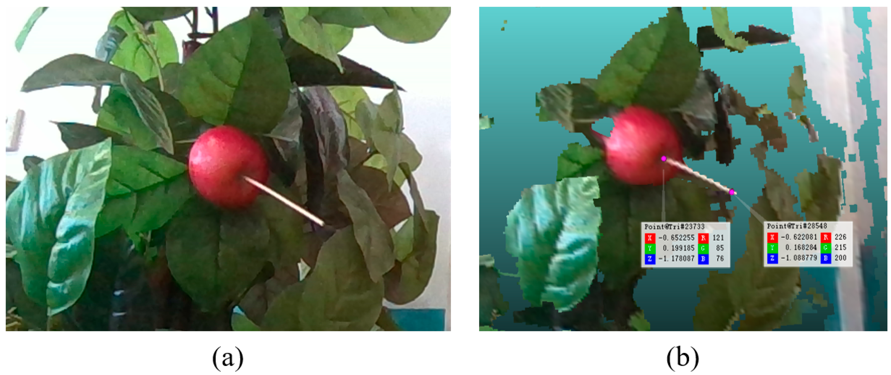 Agronomy 15 00900 g010