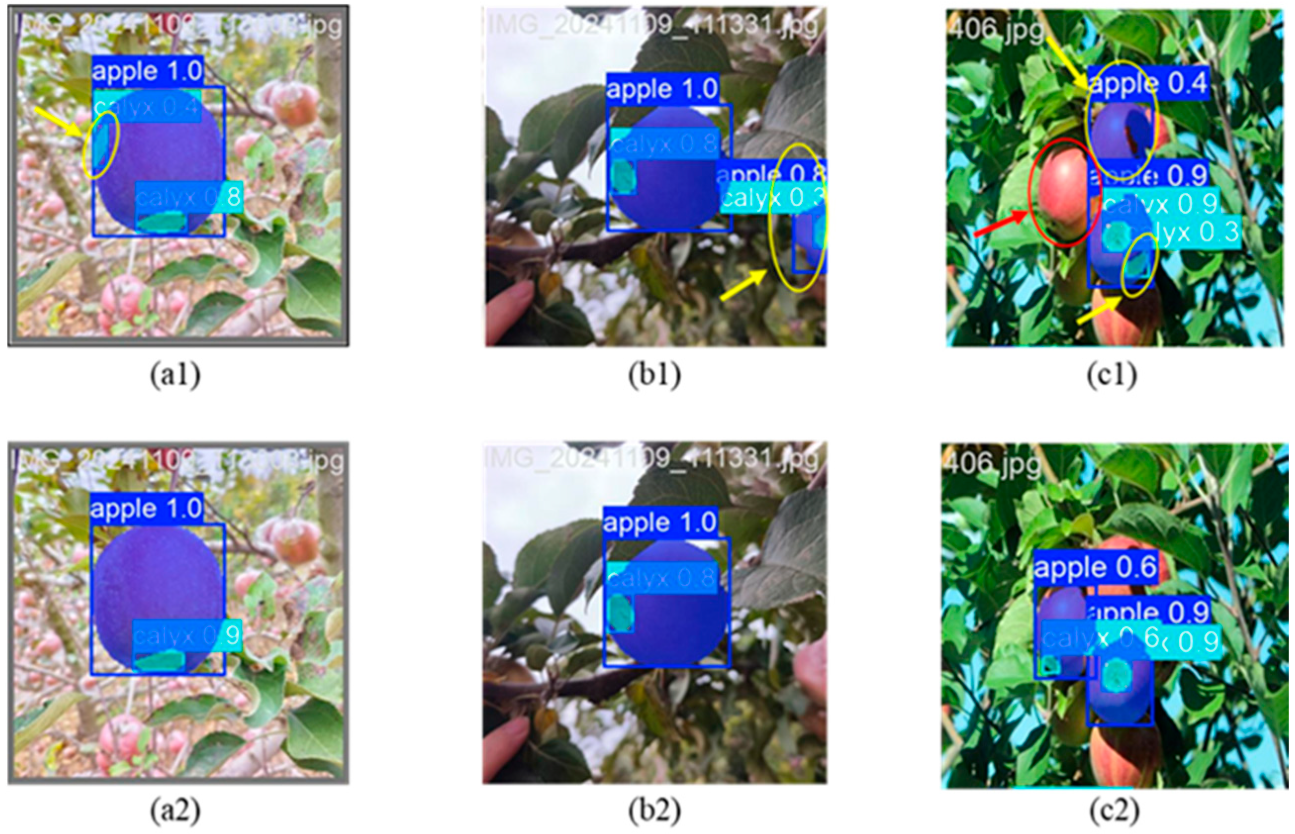 Agronomy 15 00900 g011