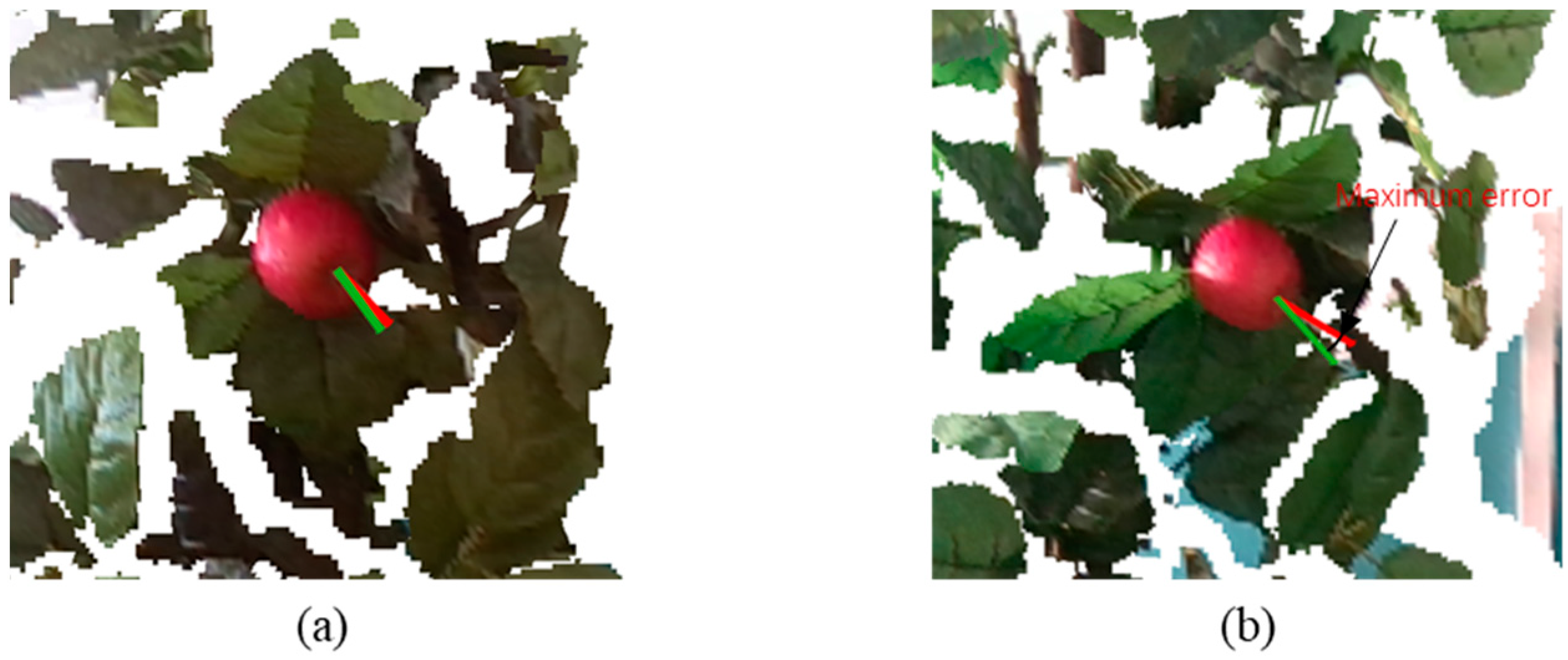 Agronomy 15 00900 g012