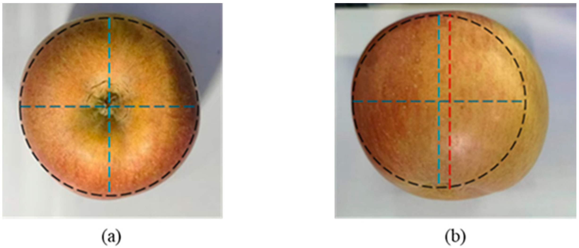 Agronomy 15 00900 g013