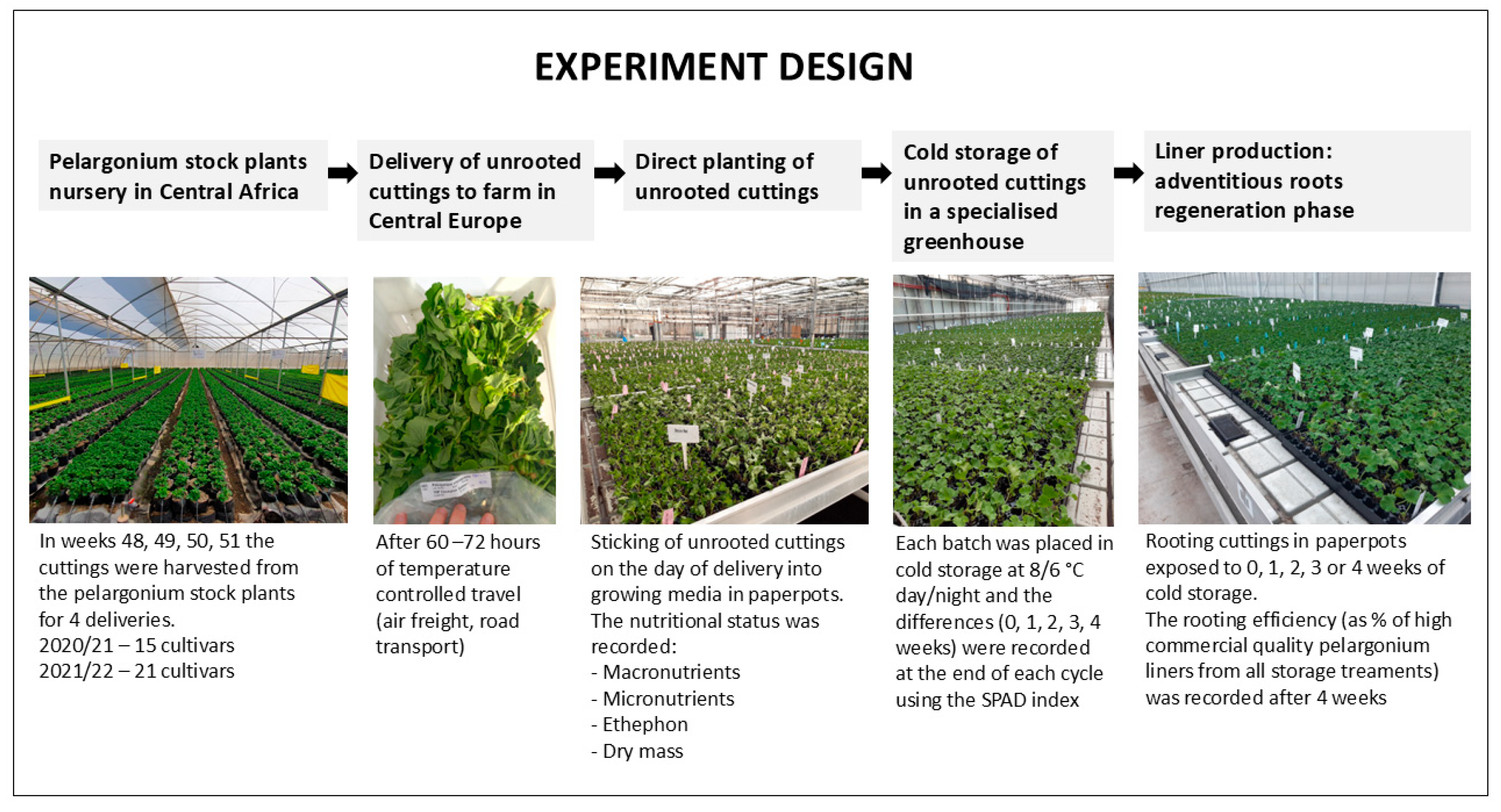 Agronomy 15 00907 g001