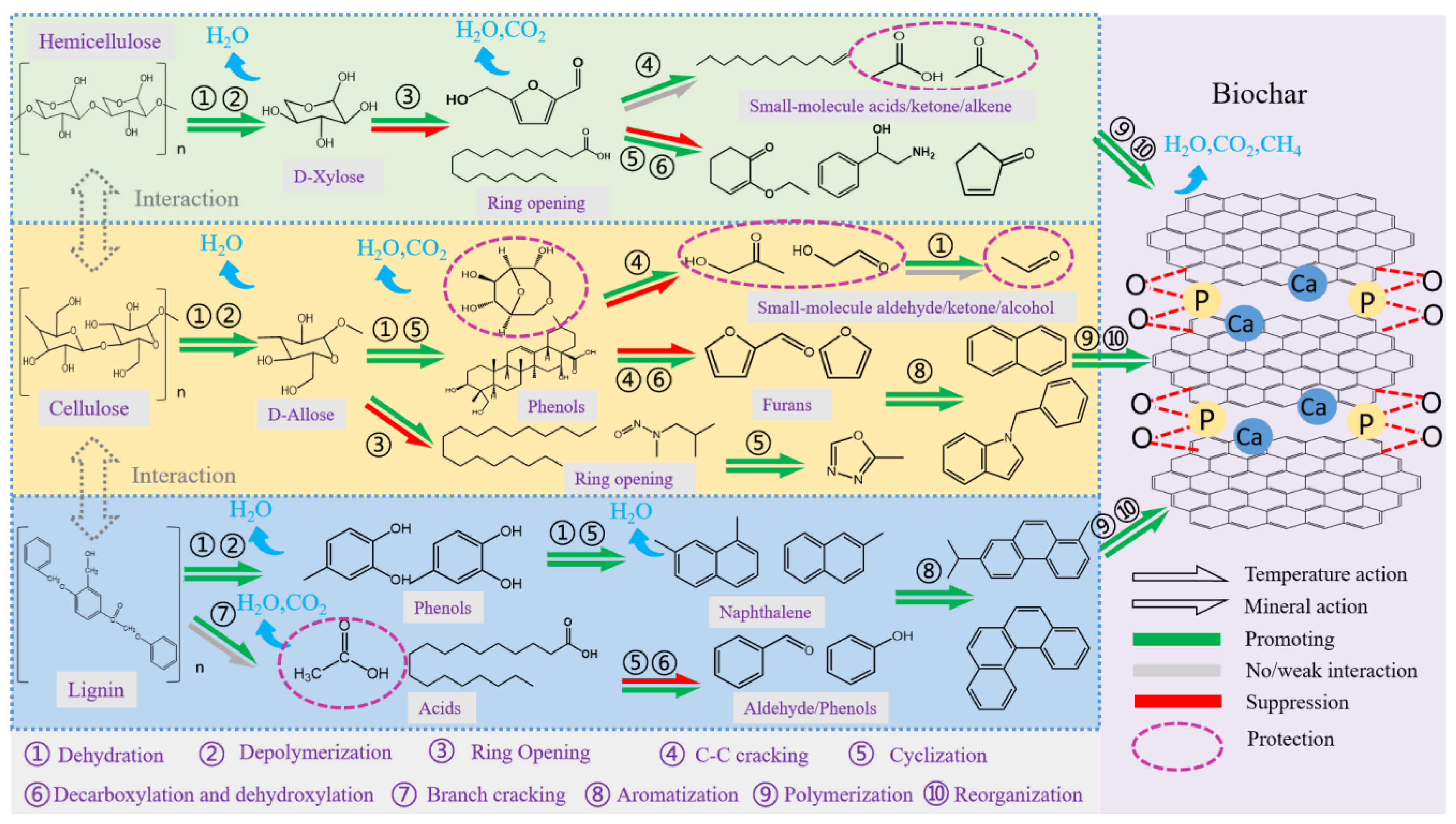 Agronomy 15 00943 g009