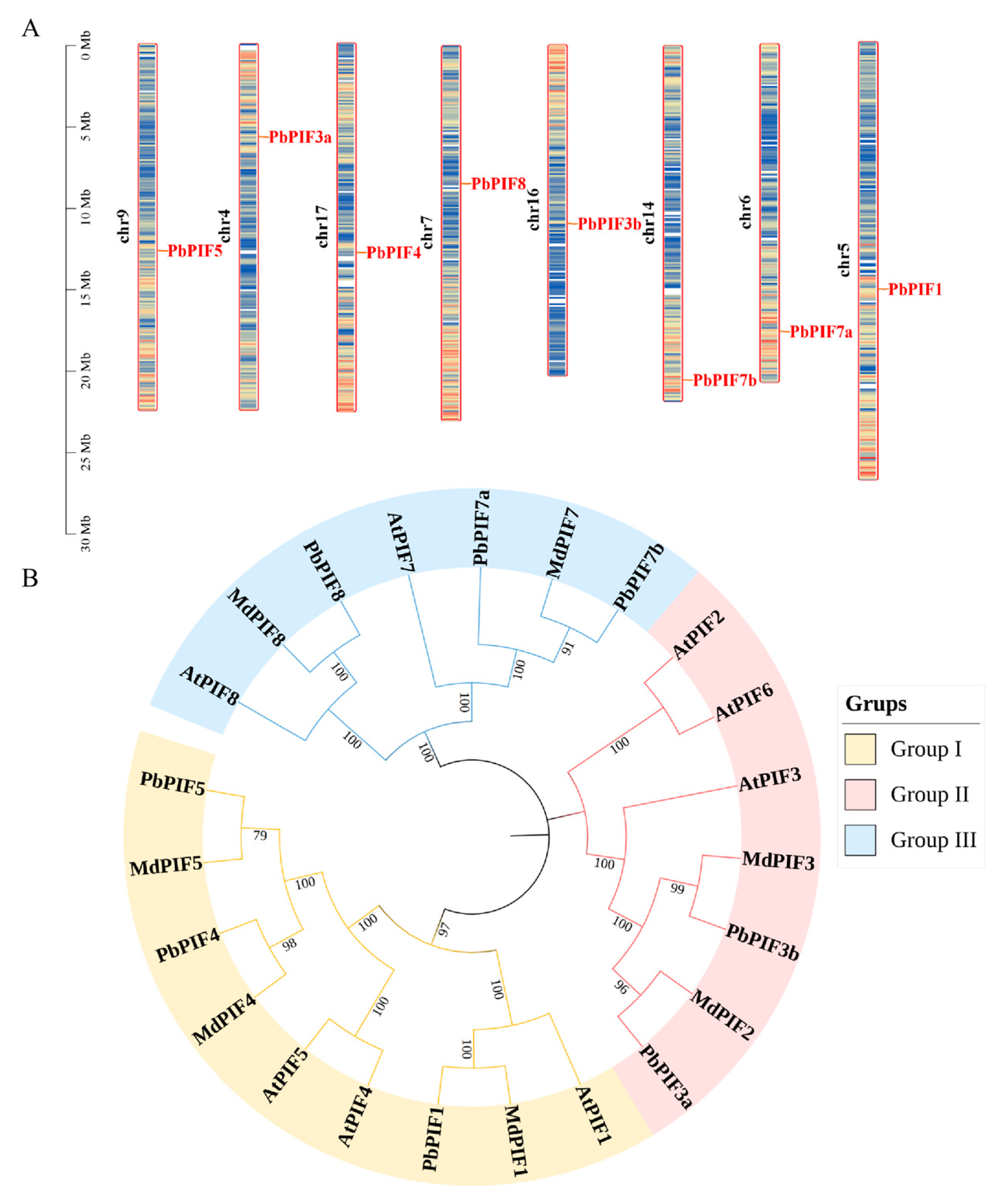 Agronomy 15 00959 g001